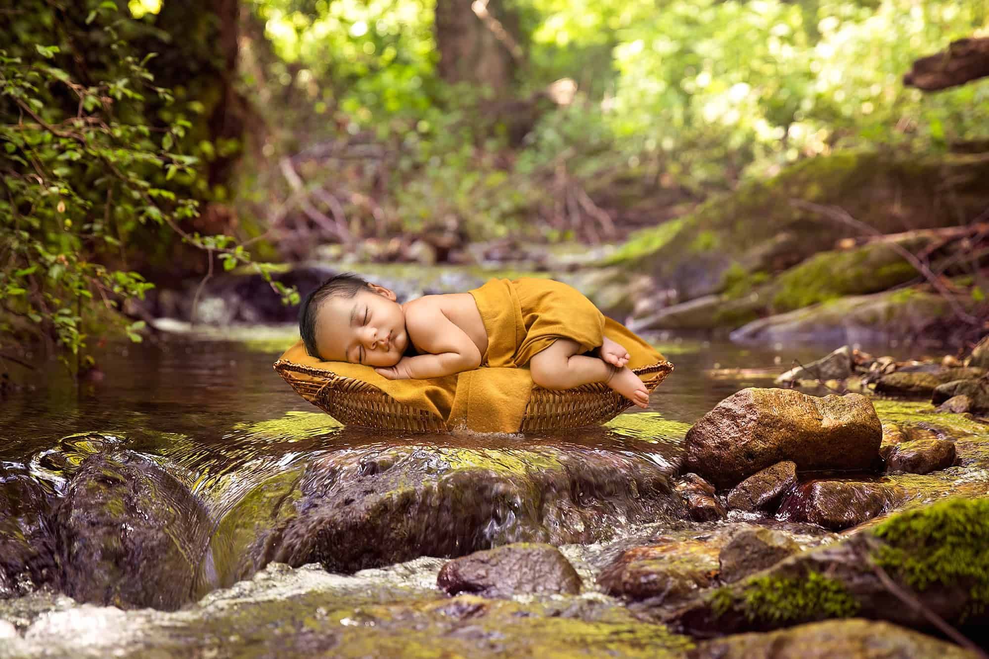 newborn photography in Glastonbury newborn baby sleeping in a basket on a rock in a creek