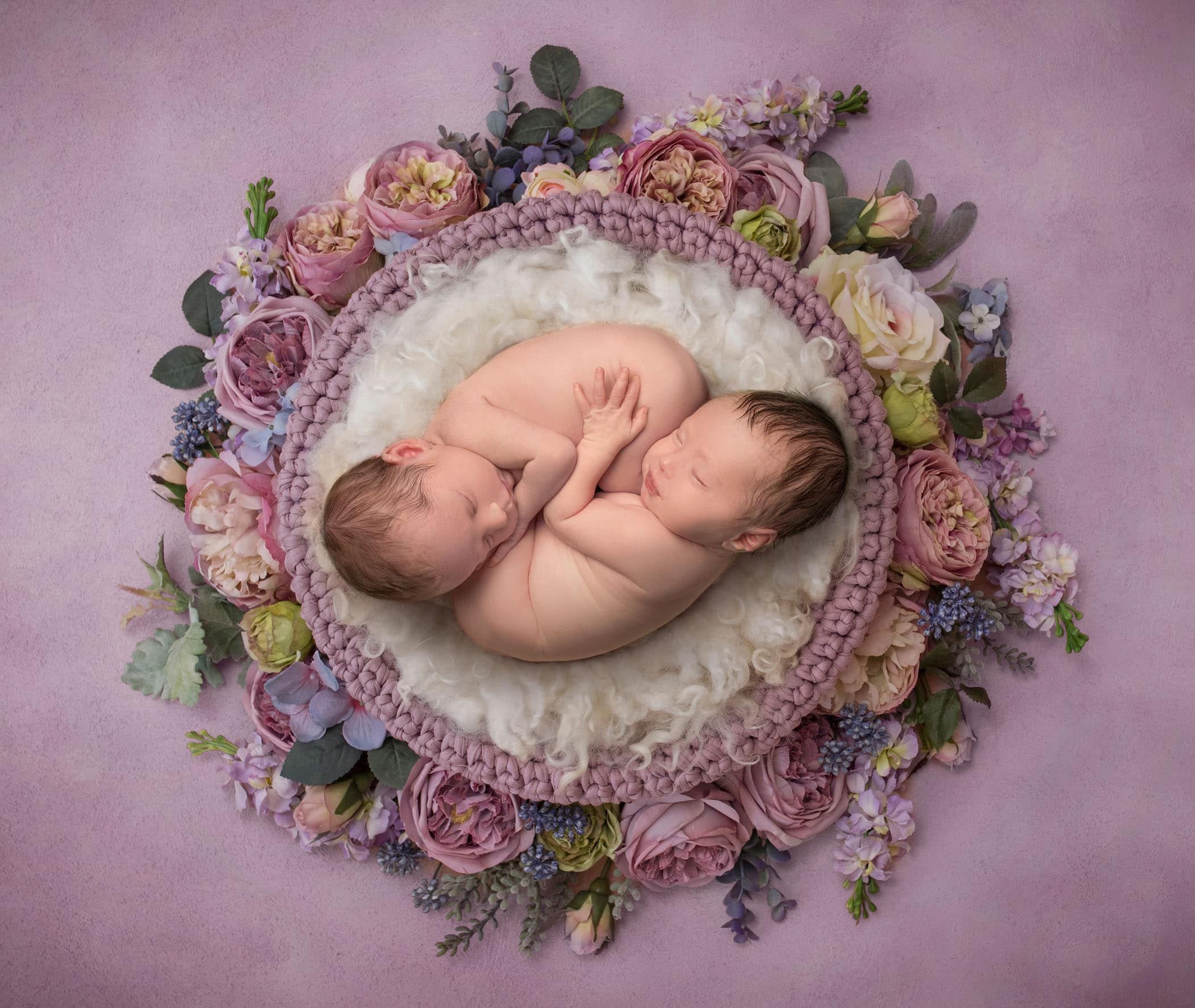 newborn photography cromwell ct newborn photography cromwell ct