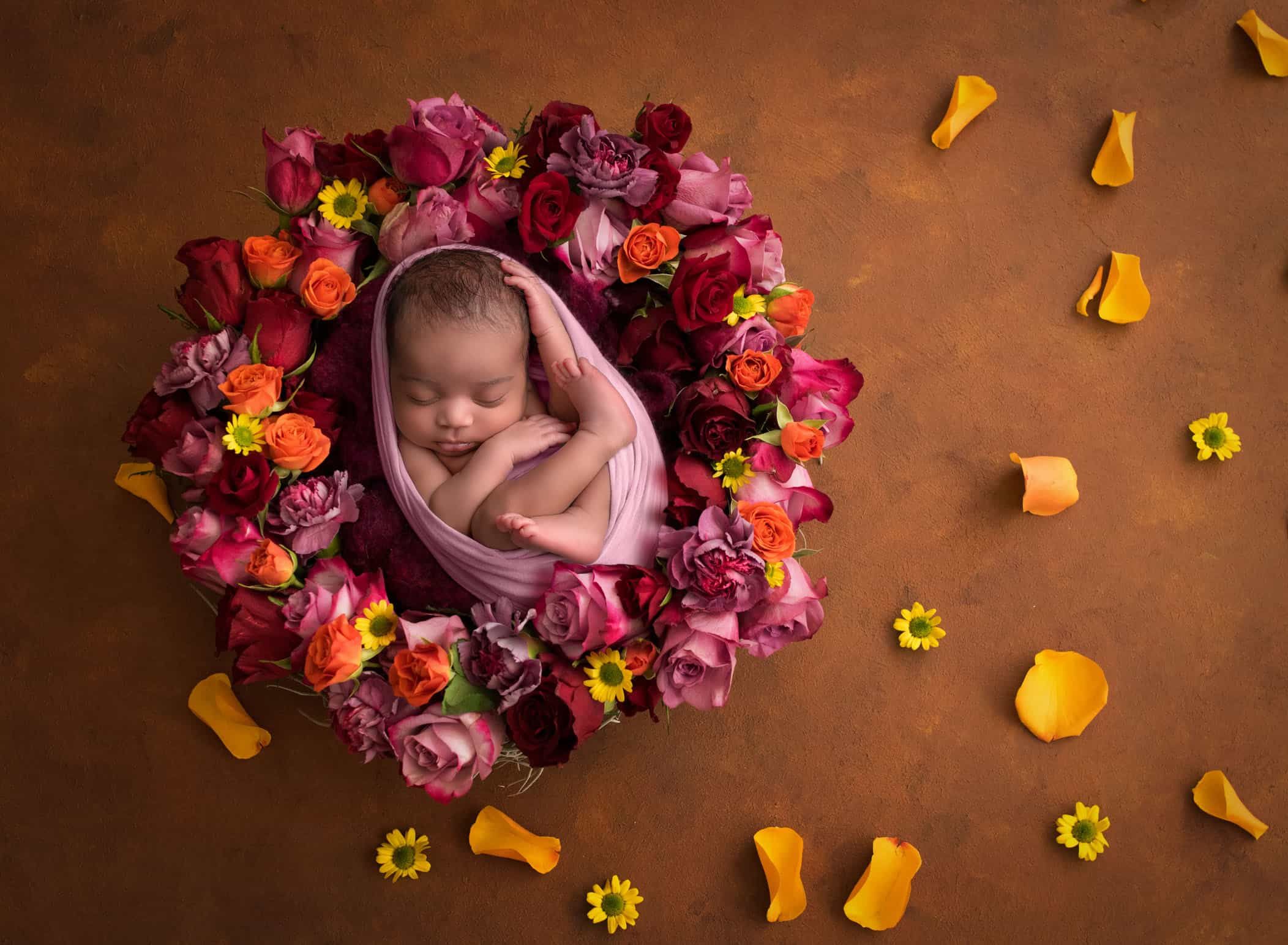newborn photography avon ct newborn photography avon ct