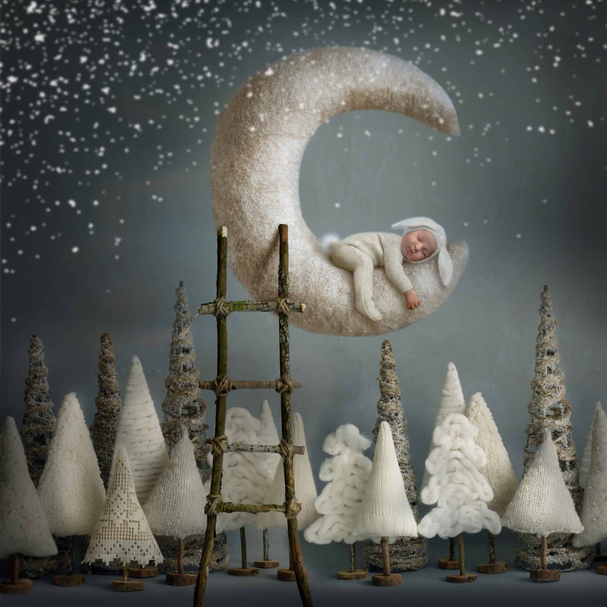 newborn photography farmington ct