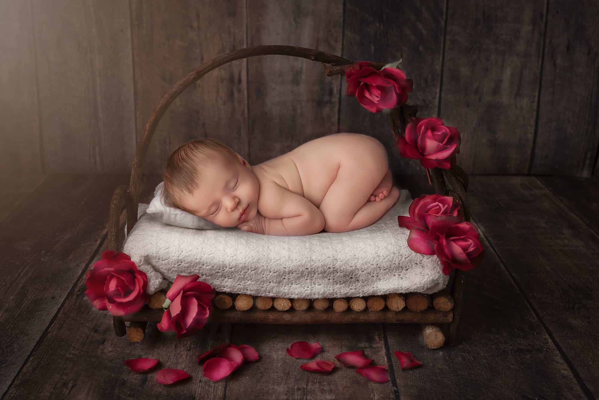 newborn photography new haven, ct