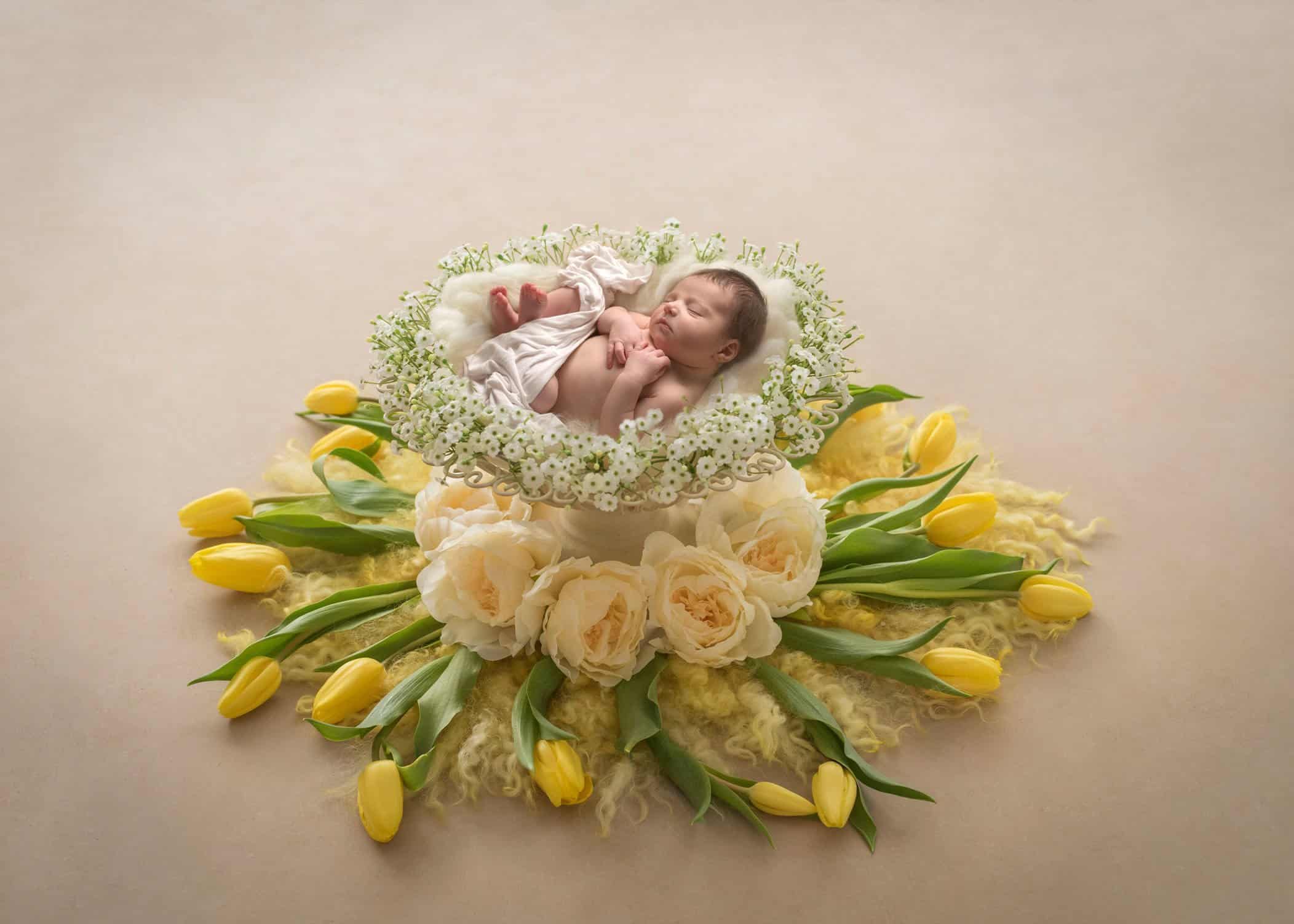 Best CT Newborn Photographer best newborn photography connecticut