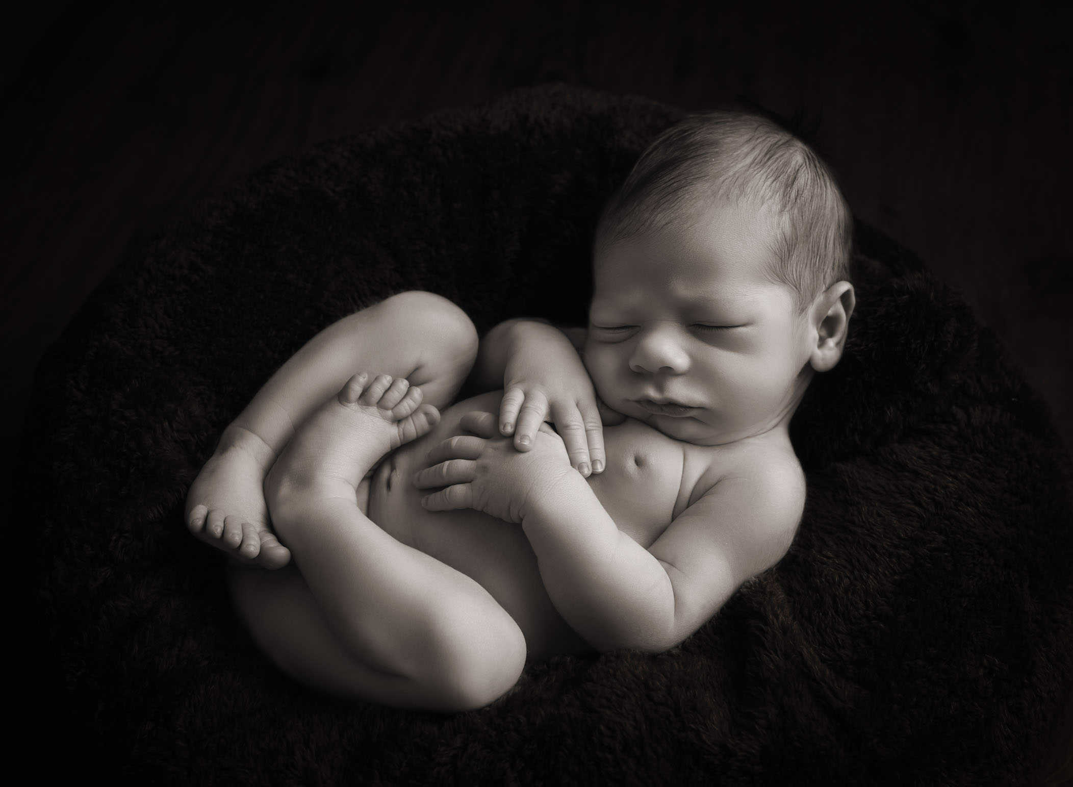 newborn photographer near me
