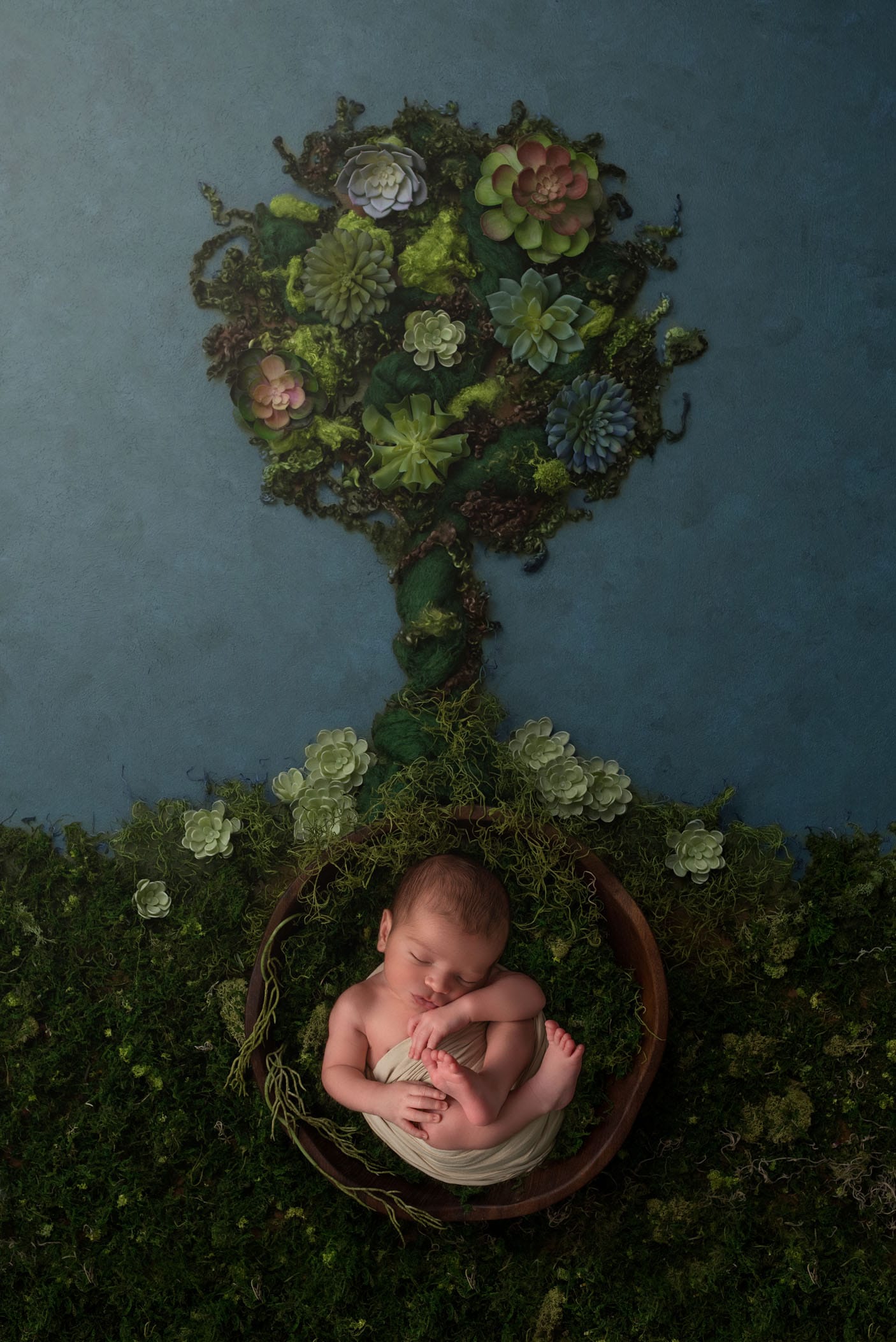 newborn photographer in avon connecticut
