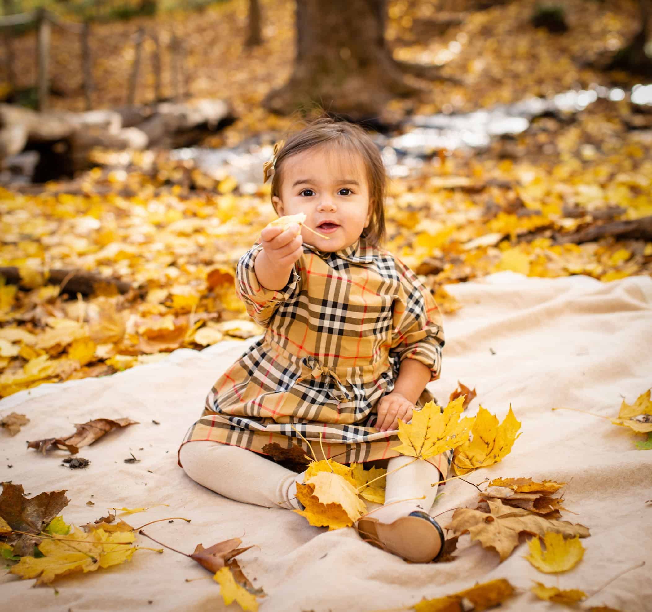 family portraits glastonbury ct