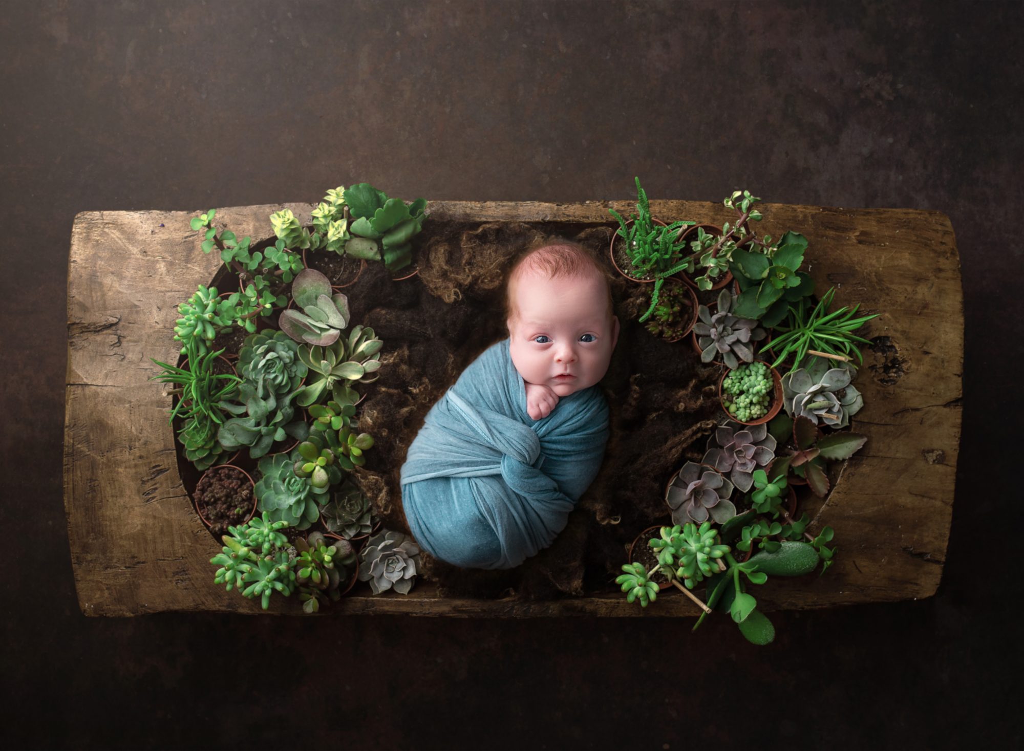 Premie Newborn Photographer In Connecticut