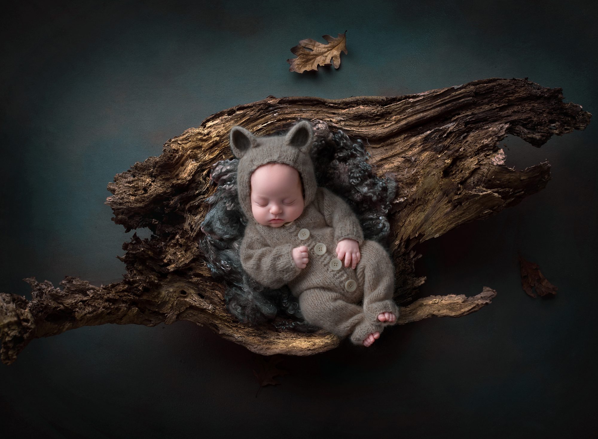 Premie Newborn Photographer In Connecticut