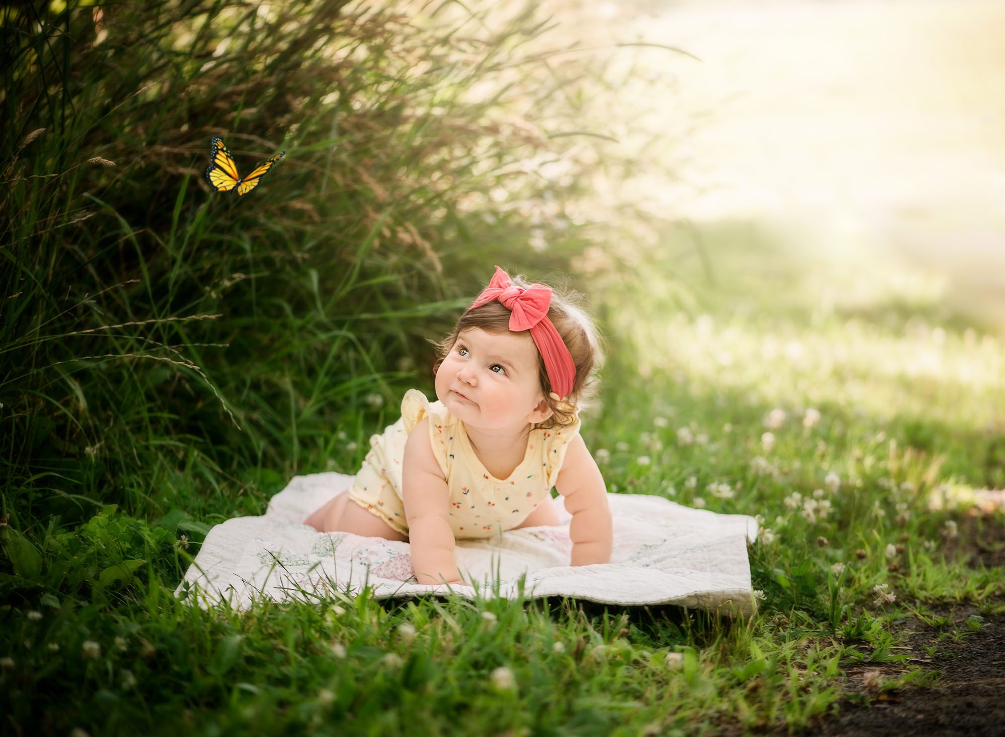 Six Month Baby Milestone Photography Session