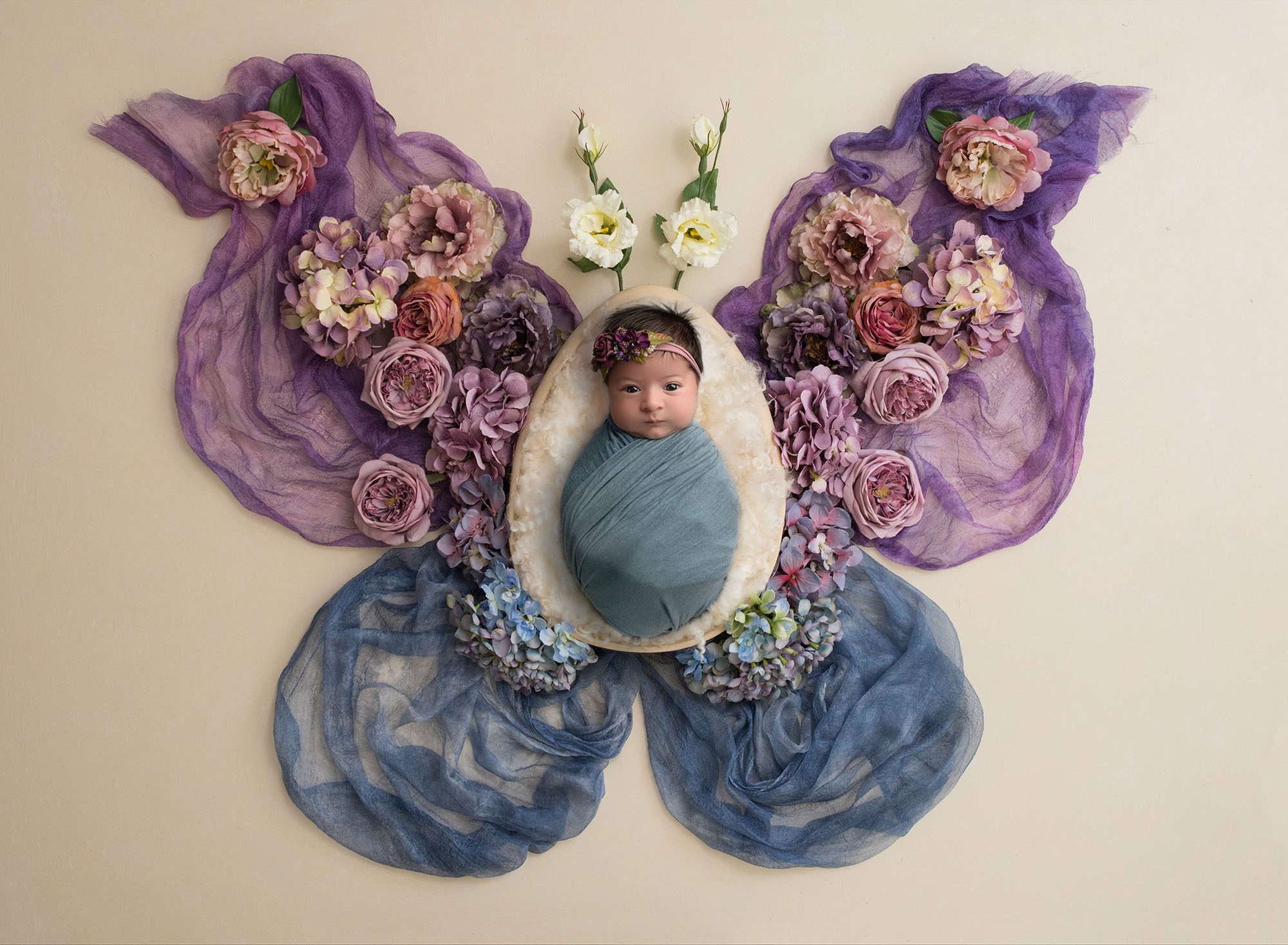 glastonbury ct newborn photographer