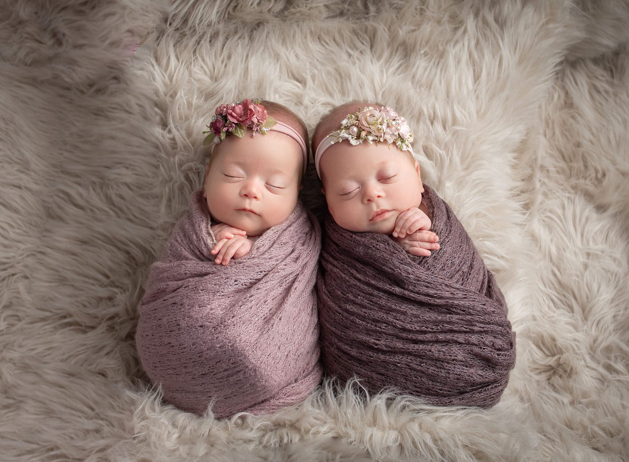 twin baby photography connecticut