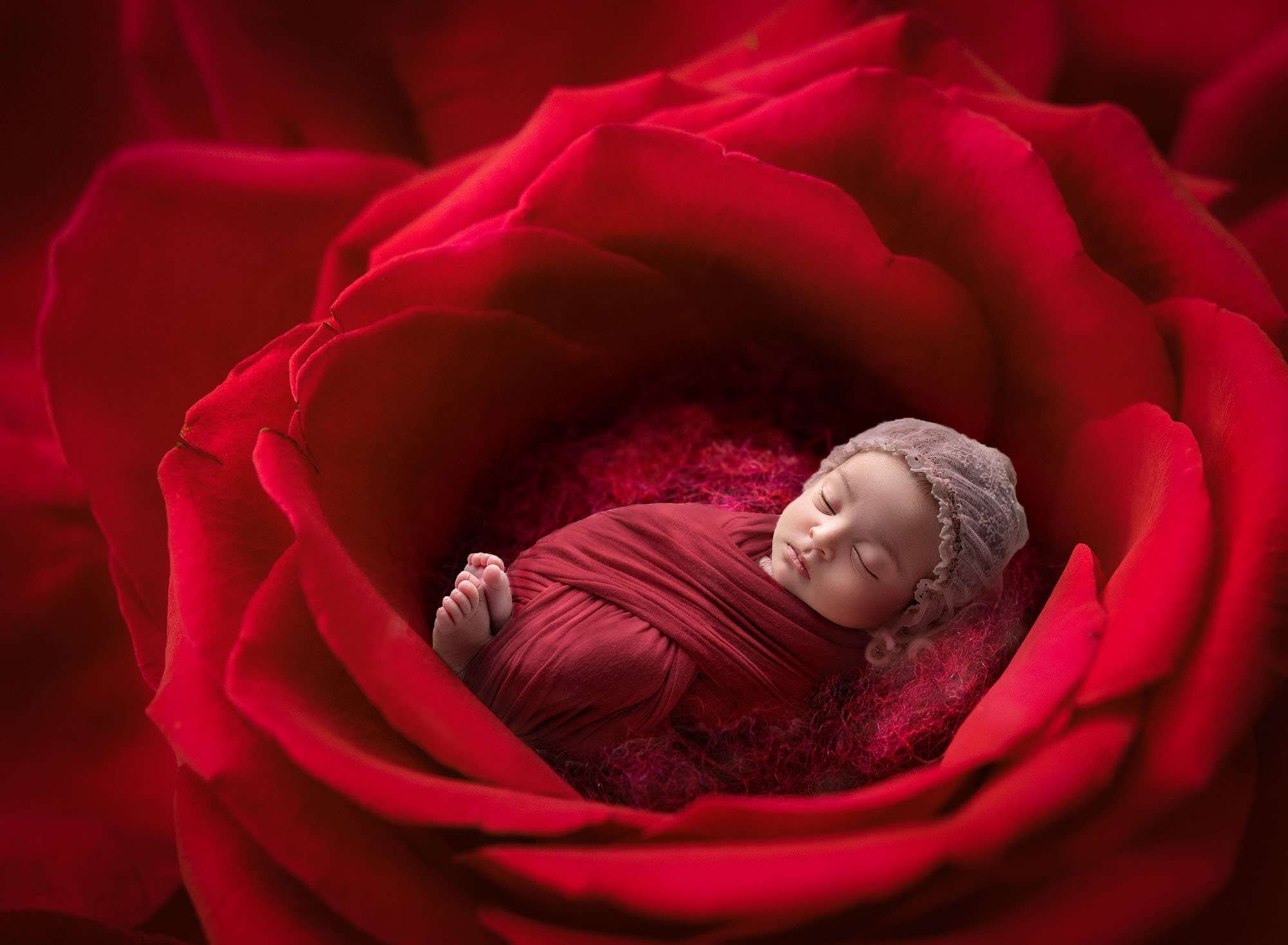 Cromwell Newborn Photographer