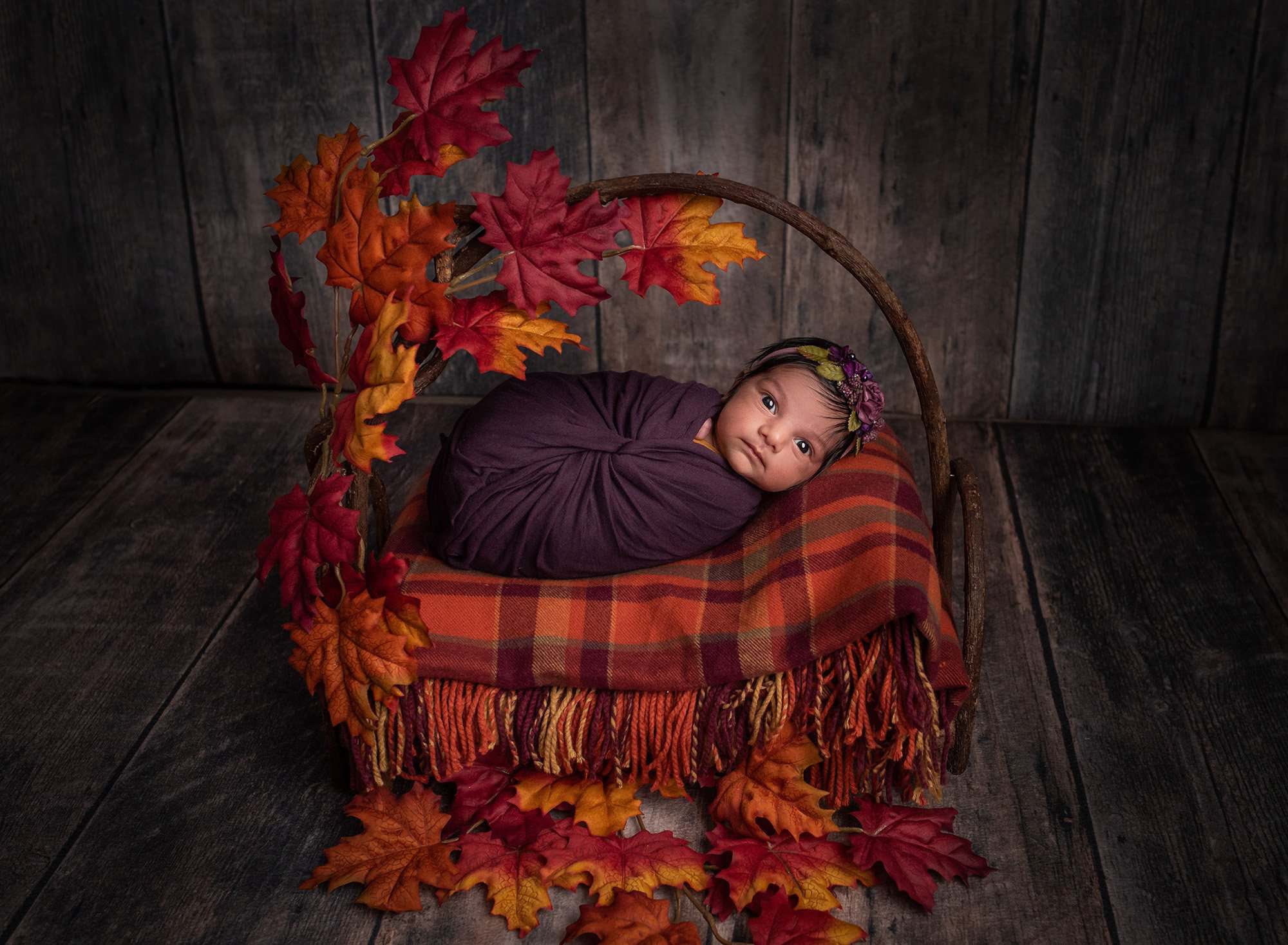 best baby photography