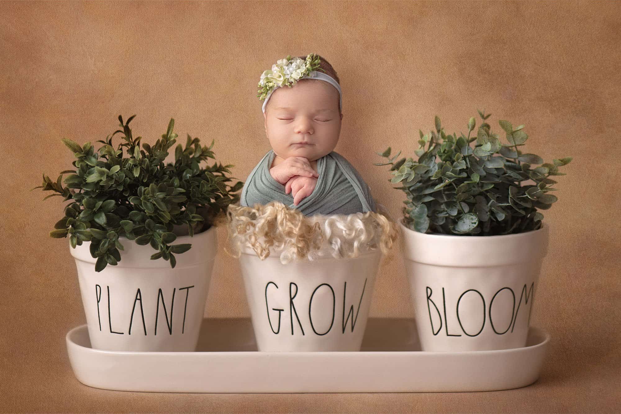 fine art newborn photography near me