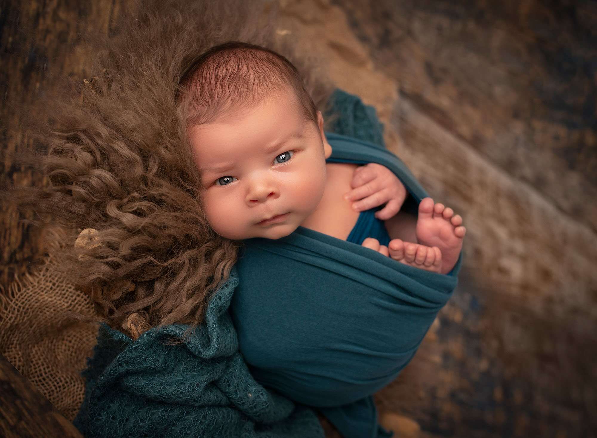 newborn photography glastonbury ct