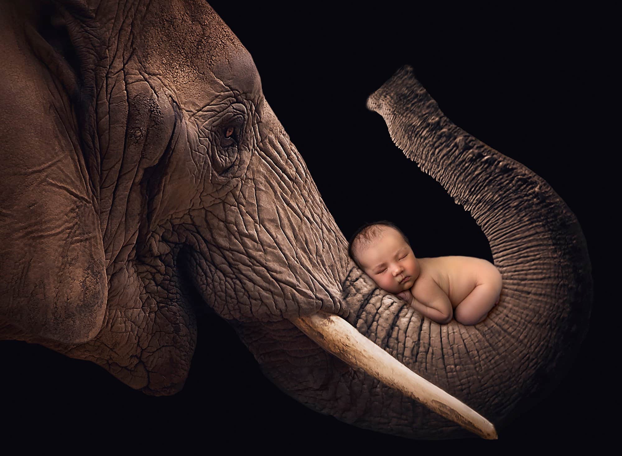 Big Baby Newborn Boy Photo Shoot