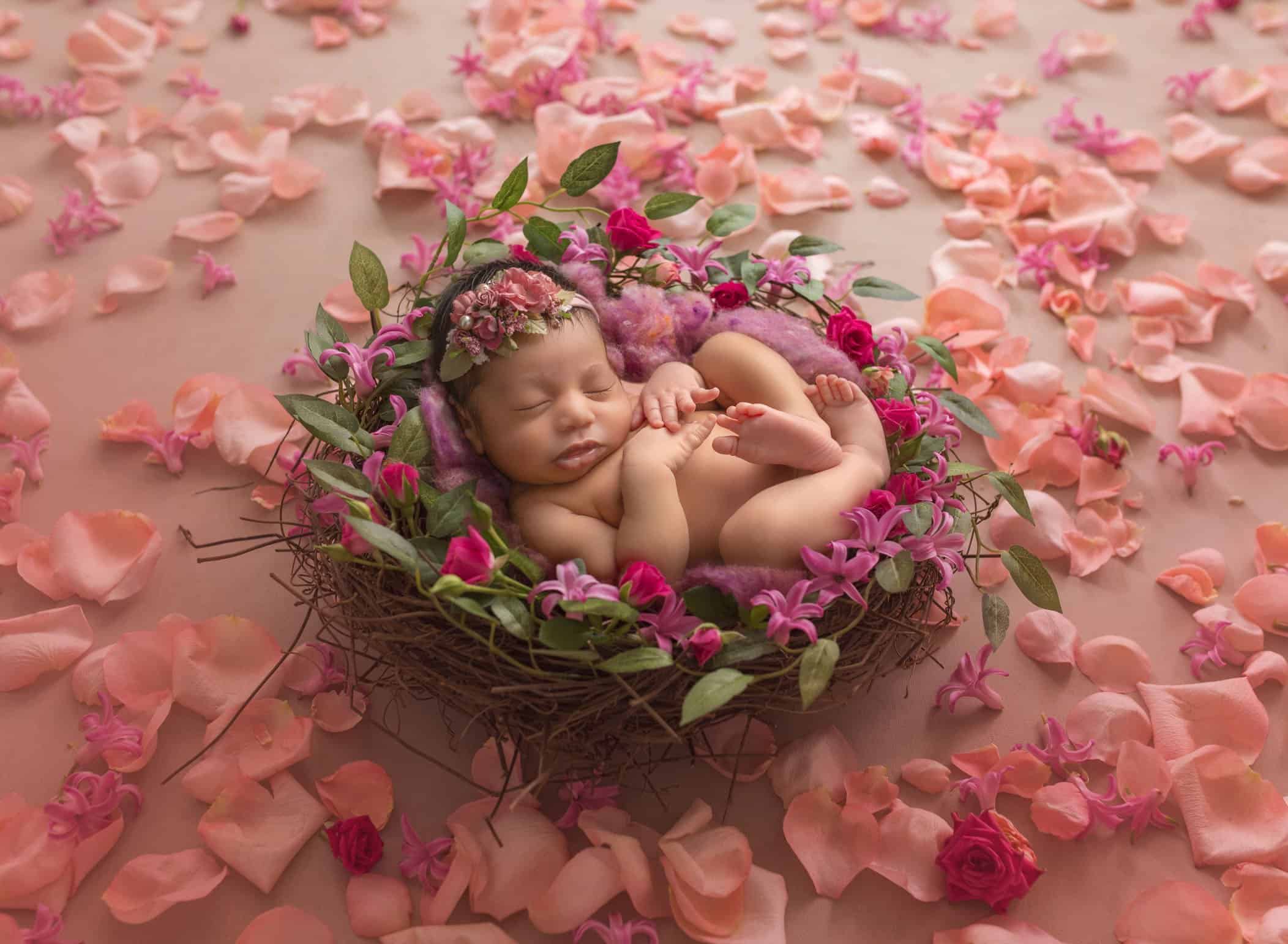 newborn photography ct prices