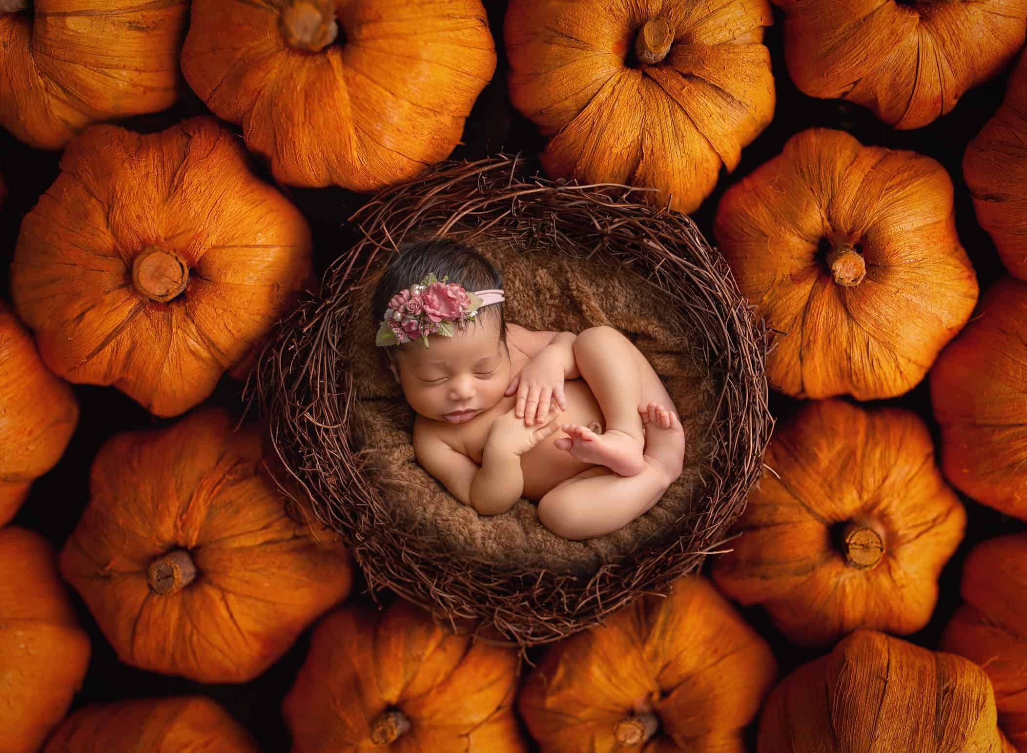 newborn photography ct prices