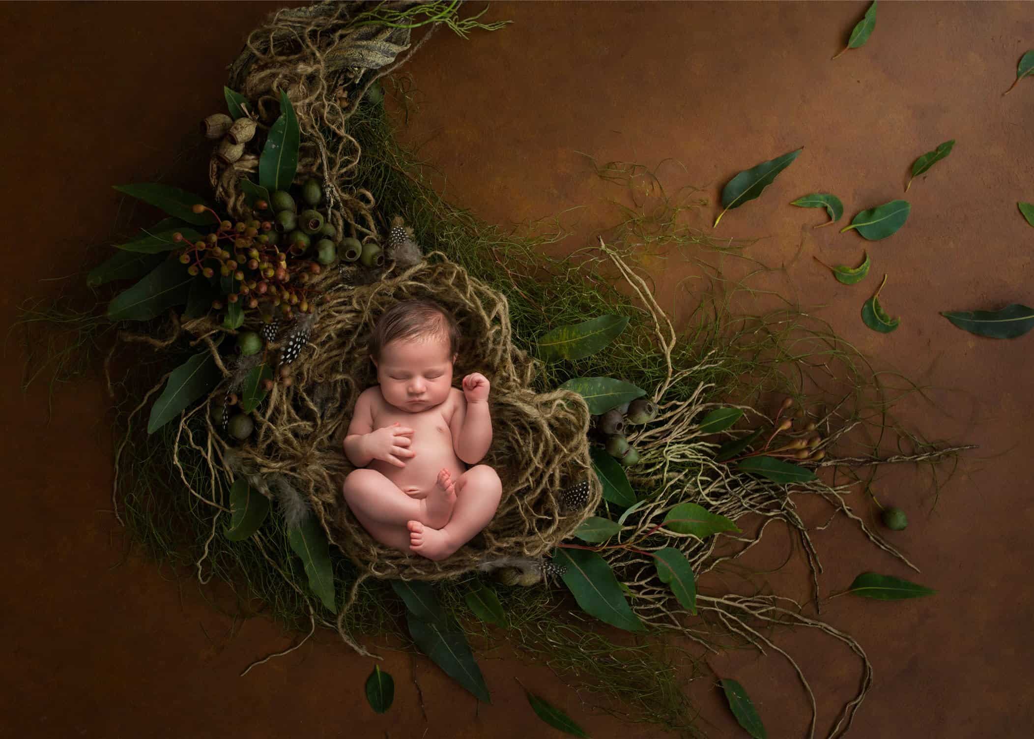newborn baby sleeping in a woodland cornucopia