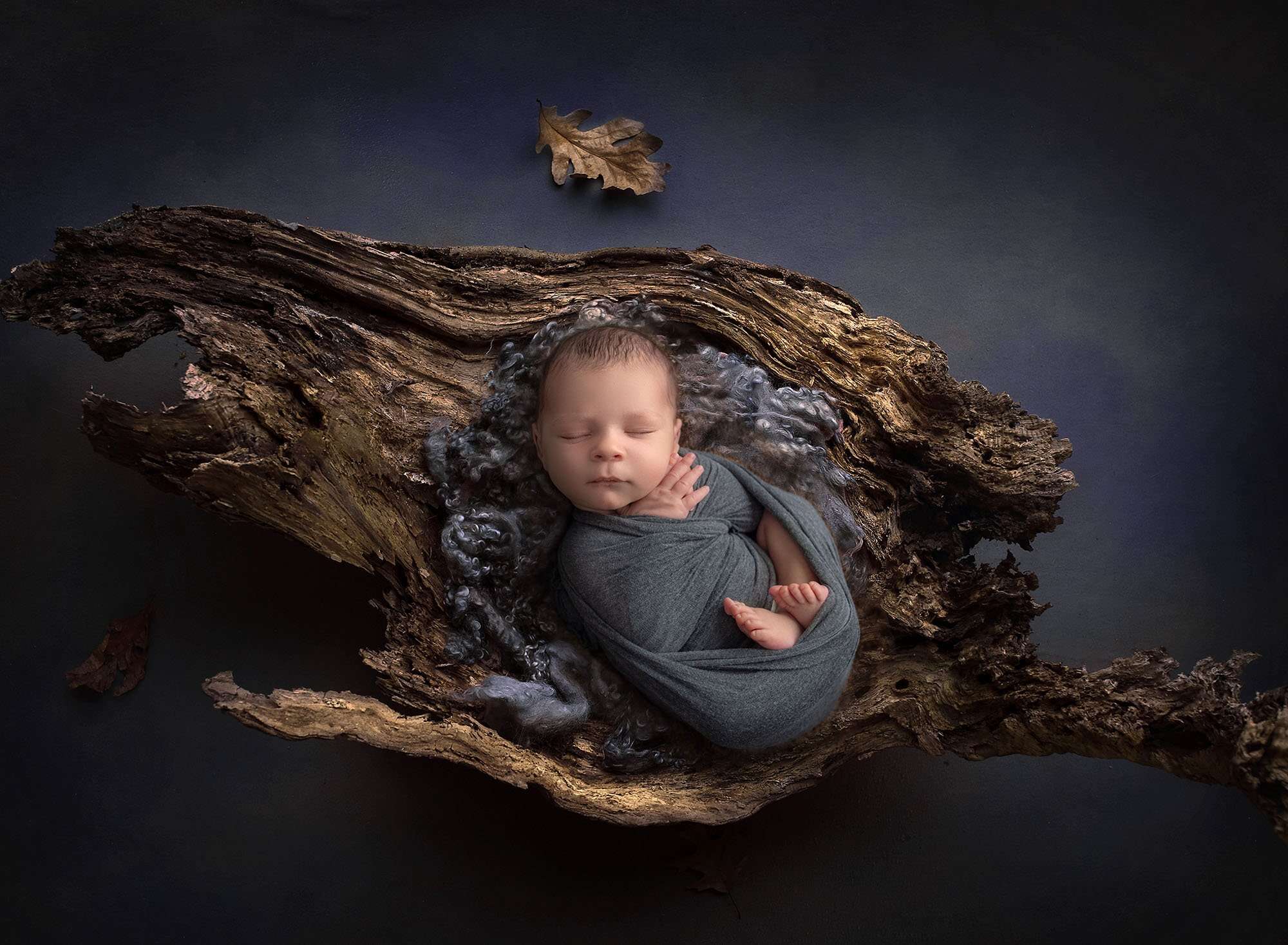 professional newborn photos connecticut