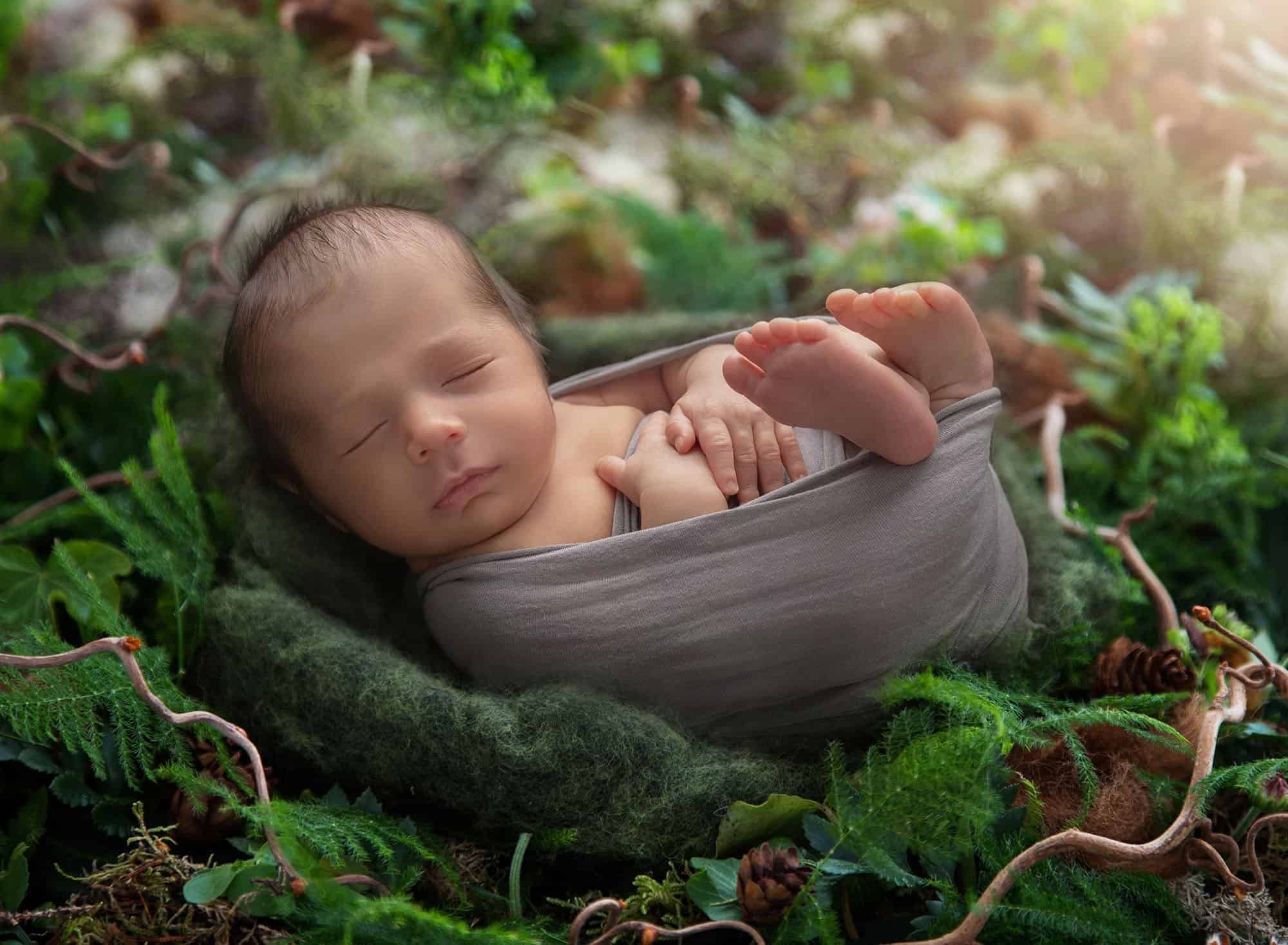newborn photographer near me