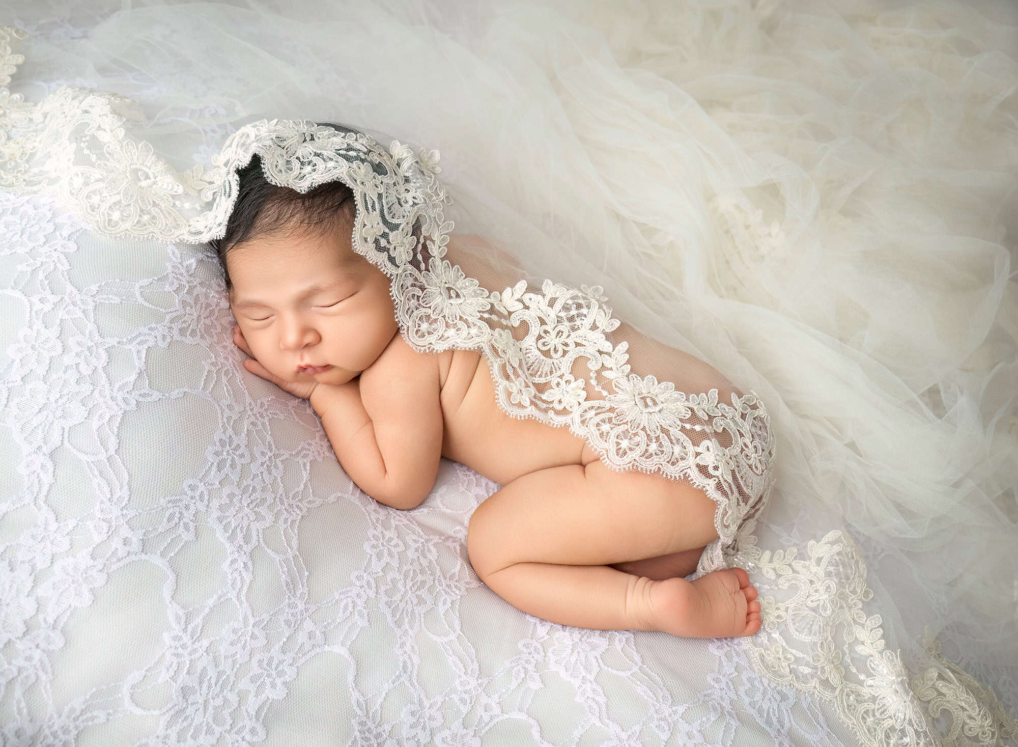 newborn photos with wedding veil covering baby elliana in lace