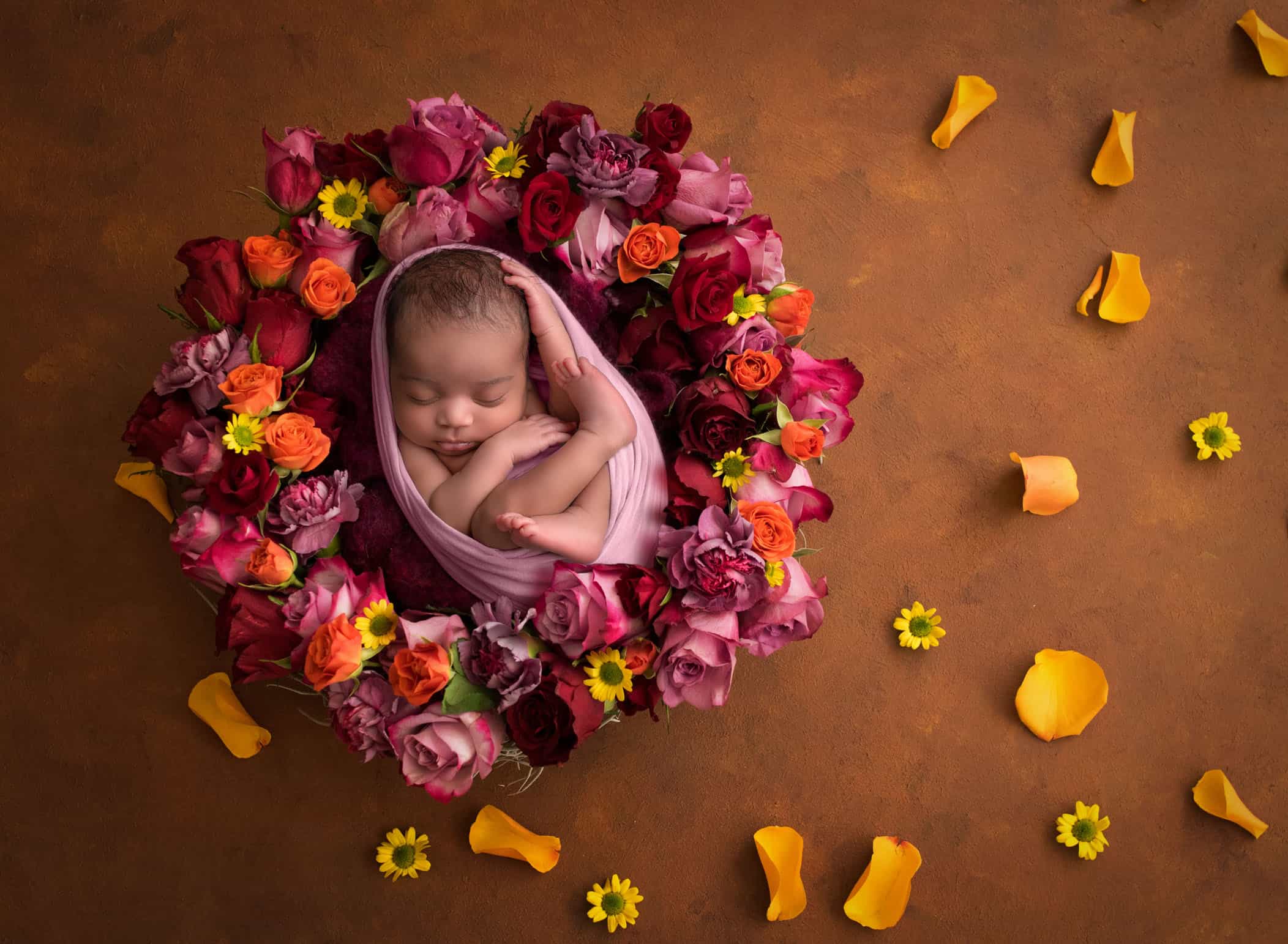 newborn photography avon ct