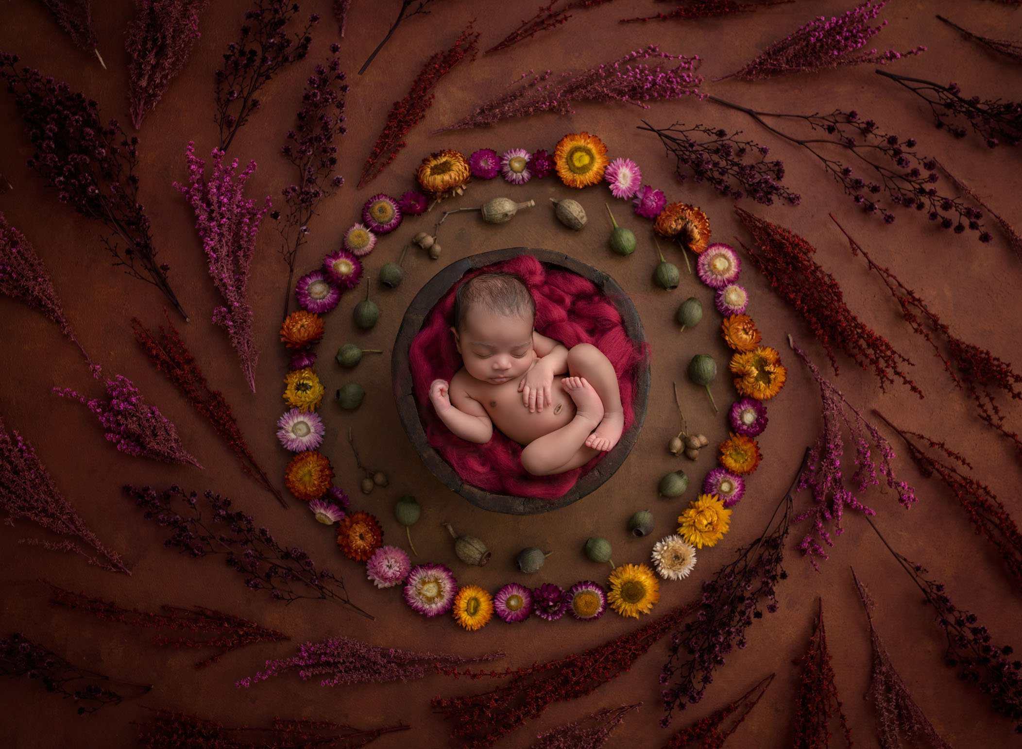 newborn photography avon ct