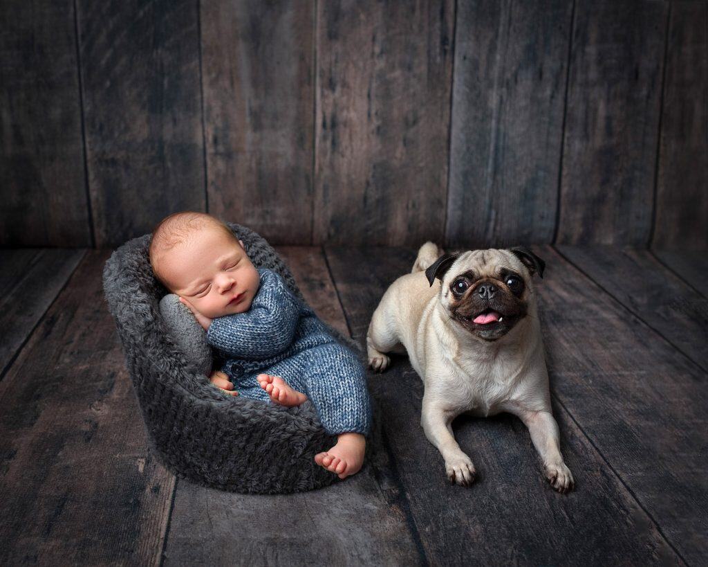 best newborn photographer family newborn photoshoot with dog