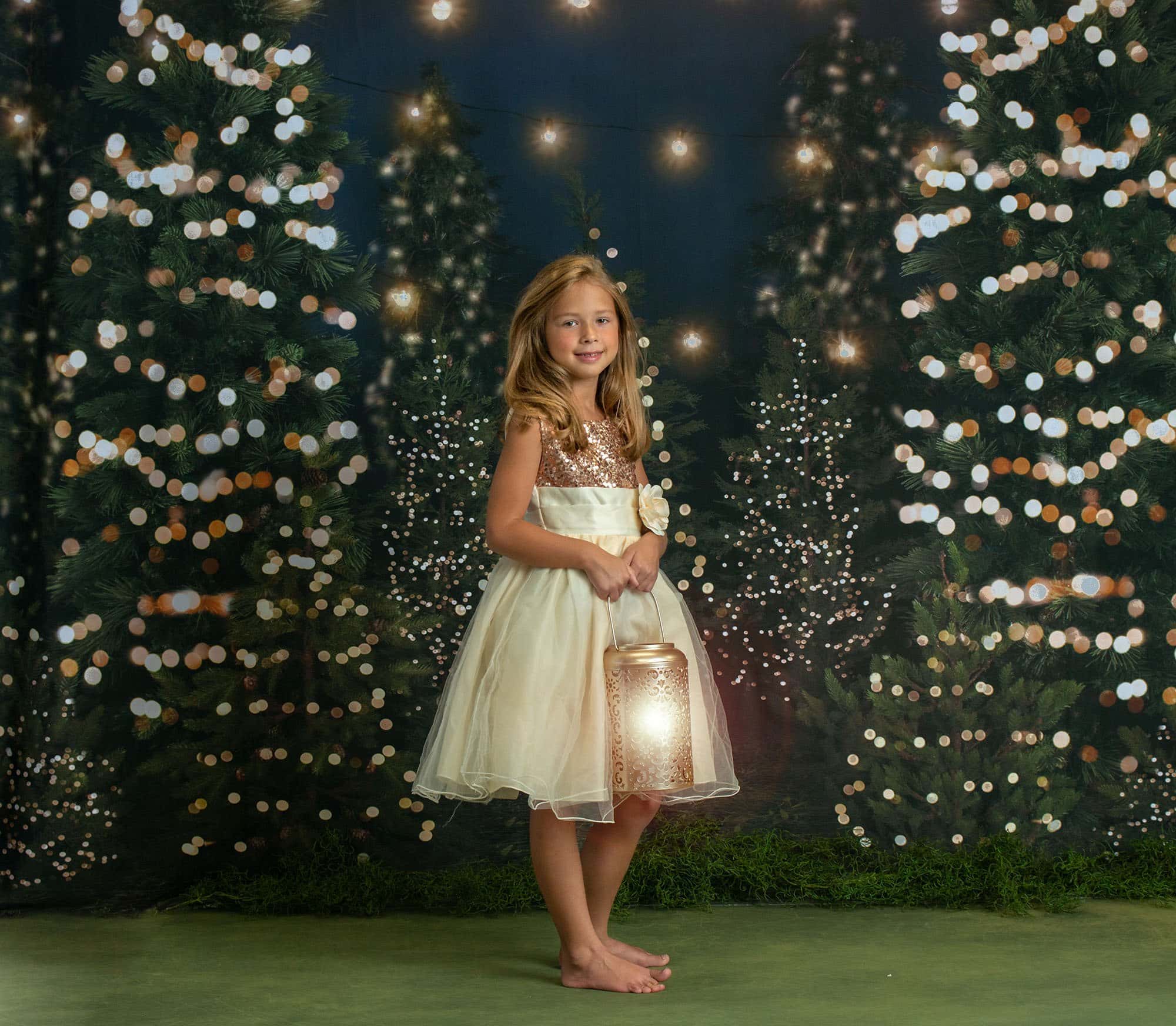 connecticut holiday minis photographer