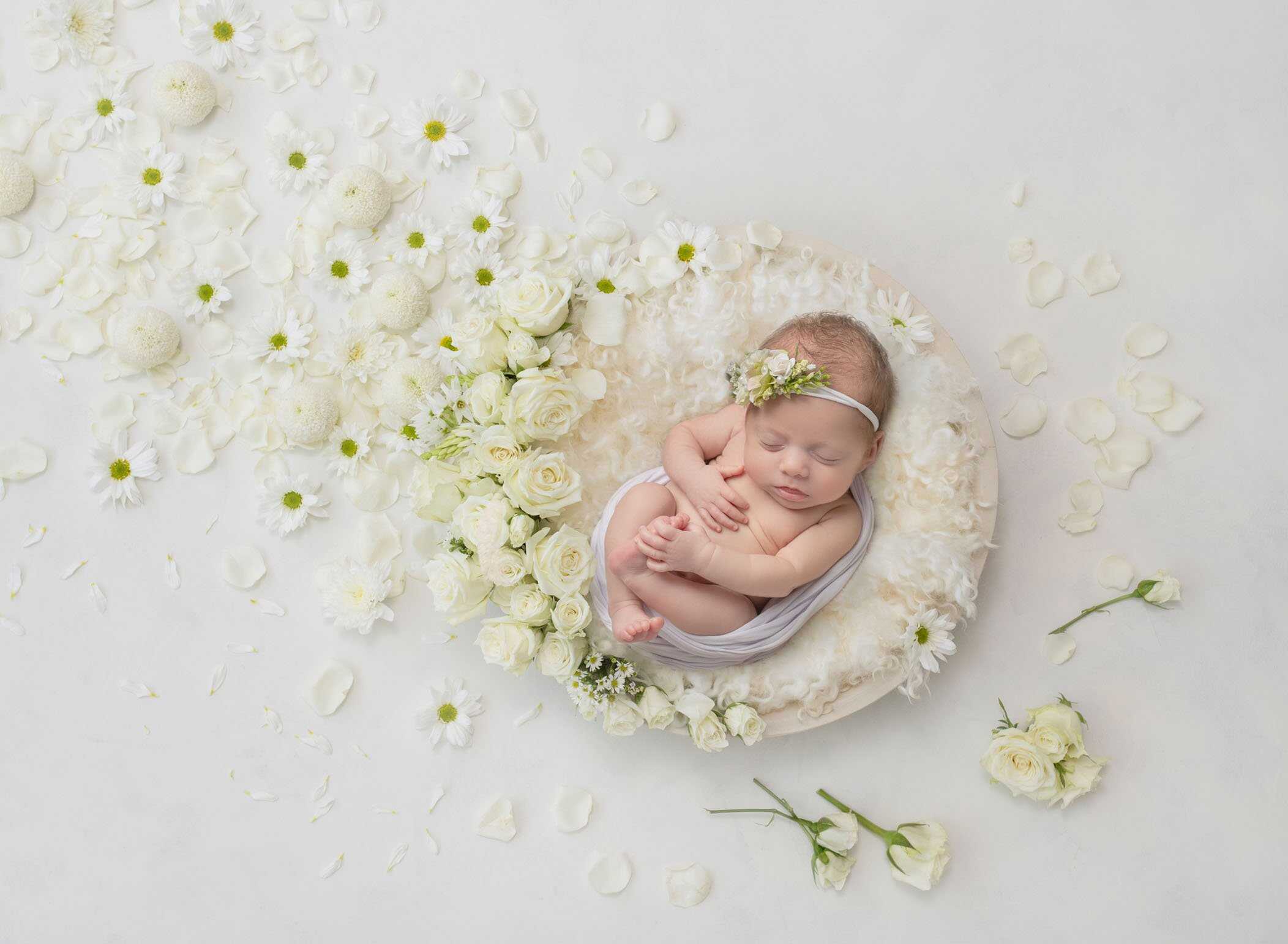 newborn photographer farmington ct