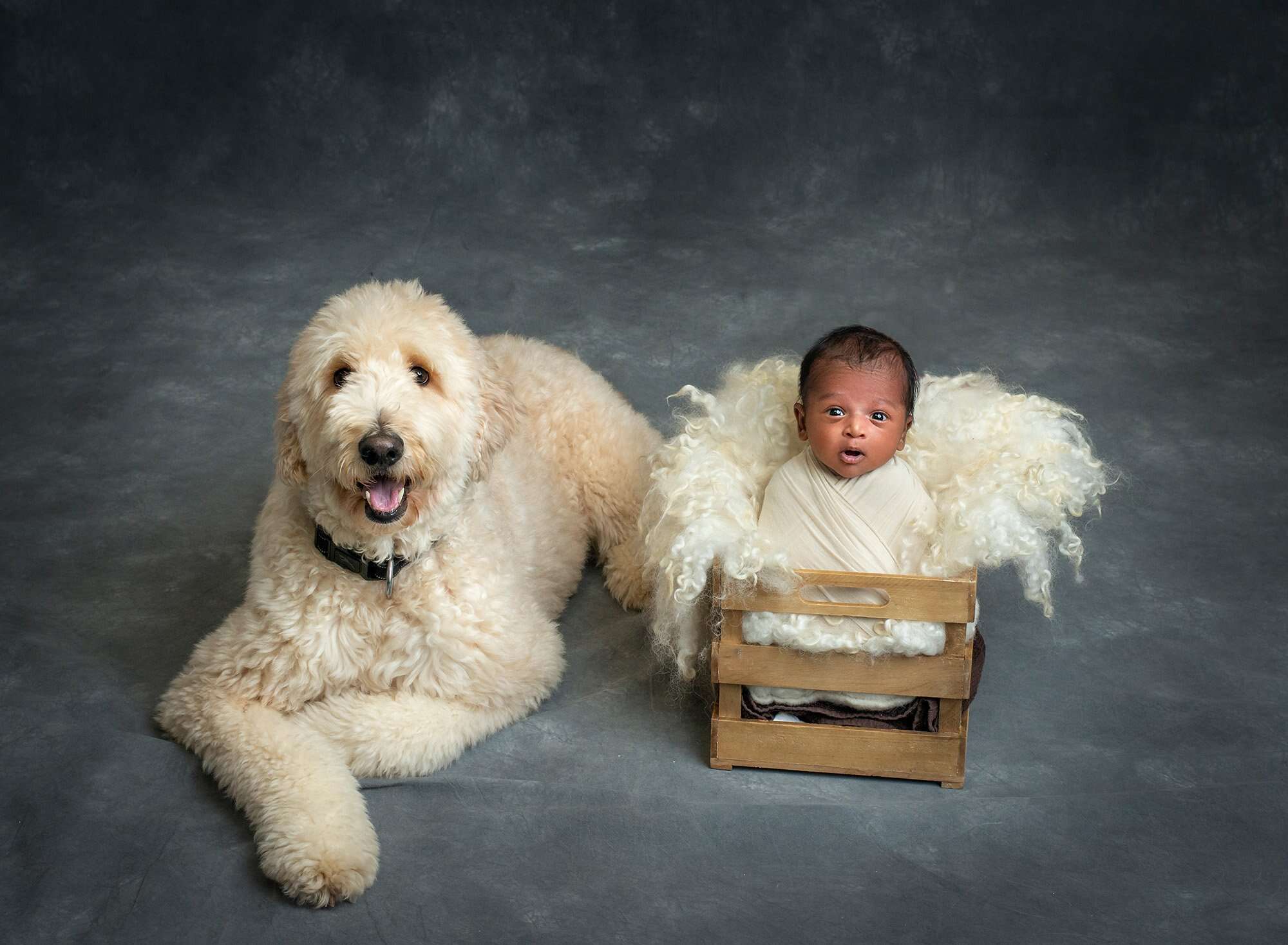 Sweet Personality Baby Pictures