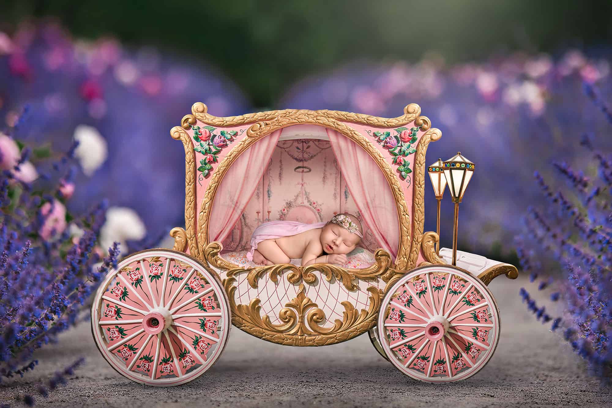 Newborn in ornate carriage set—creative portrait after sibling photos are complete
