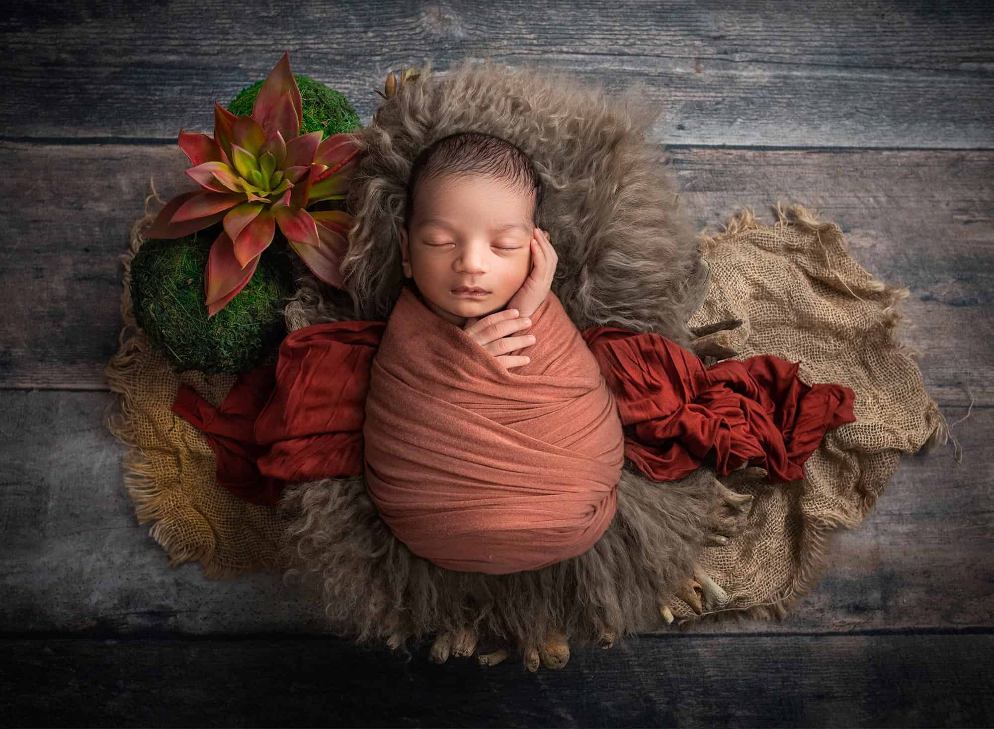 newborn baby boy asleep laying on brown blankets next to a succulent flower