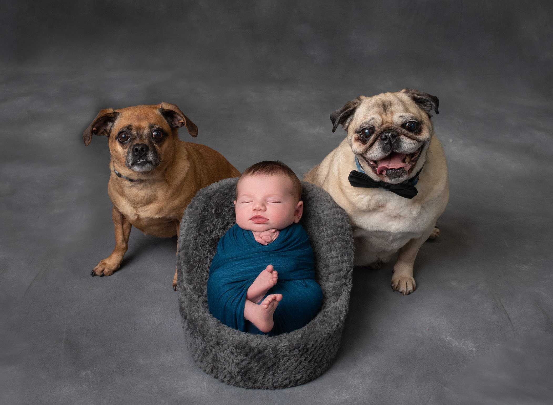 professional infant photographer