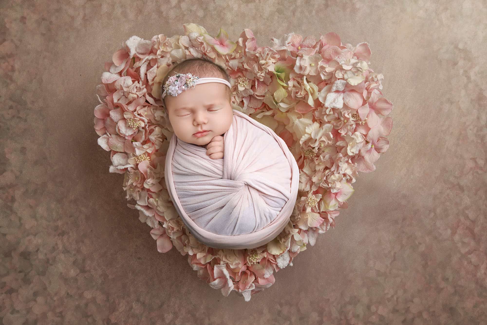 Connecticut newborn photographer Floral heart newborn portrait — Mia resting inside a heart of pink hydrangea.