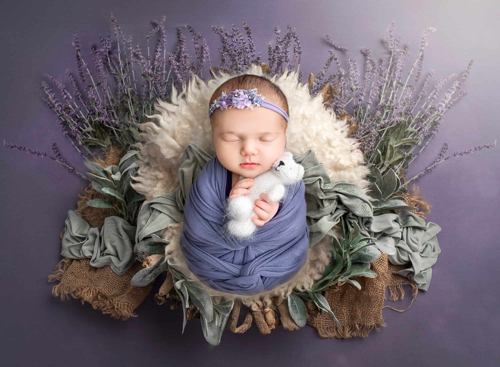 Connecticut newborn photographer Lavender garden set — Newborn wrapped in violet, holding a tiny knit teddy bear.
