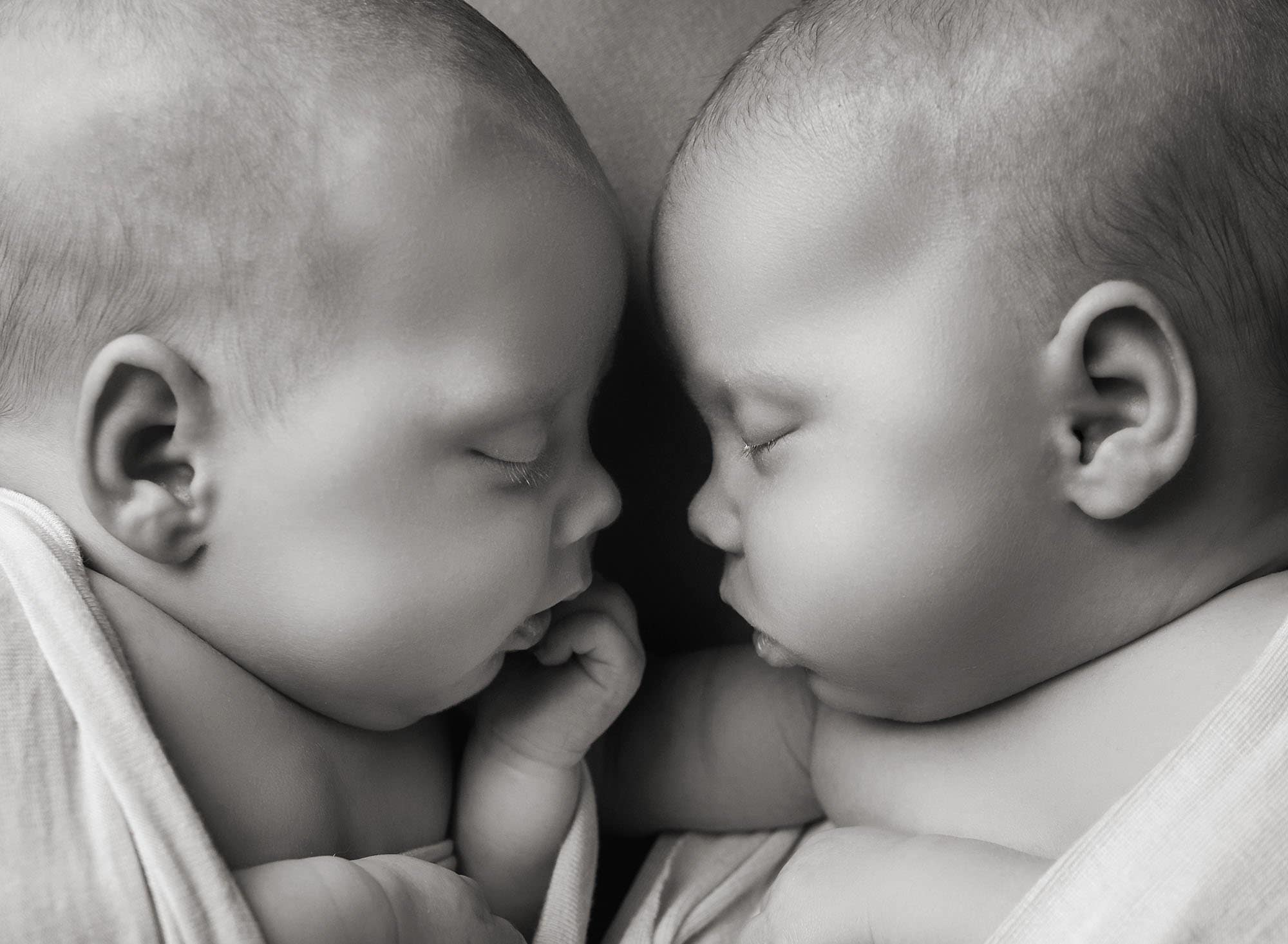 professional newborn photographer ct