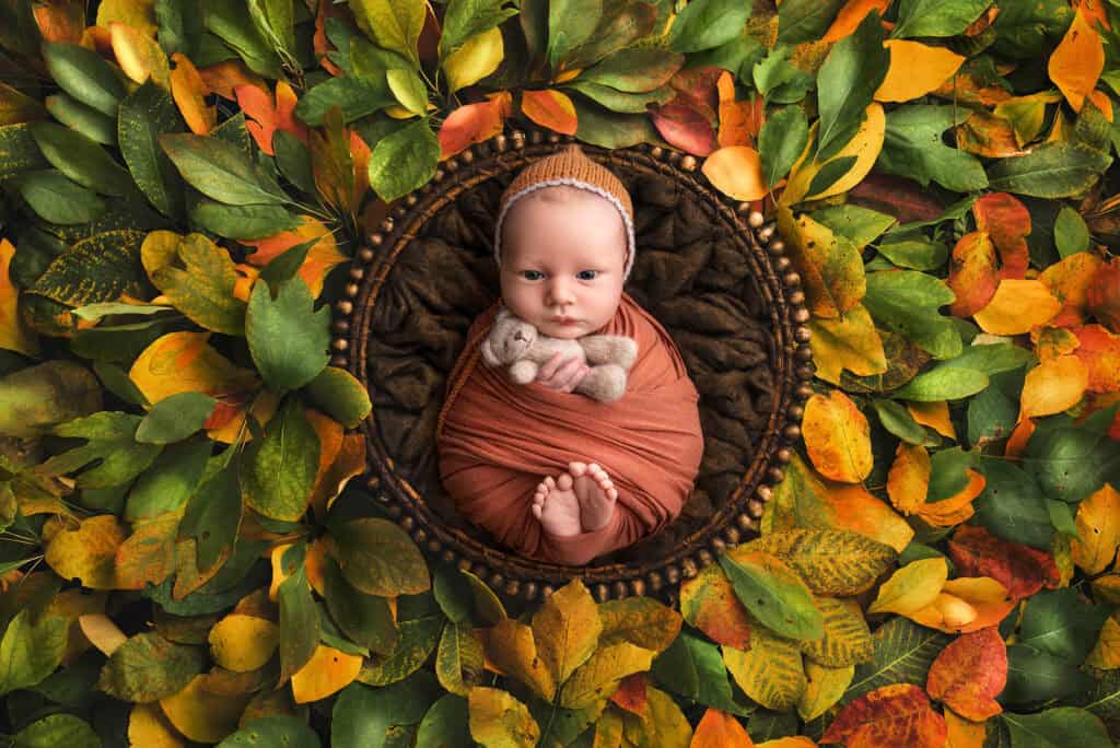 best time for newborn photos baby resting in bowl surrounded by fall leaves