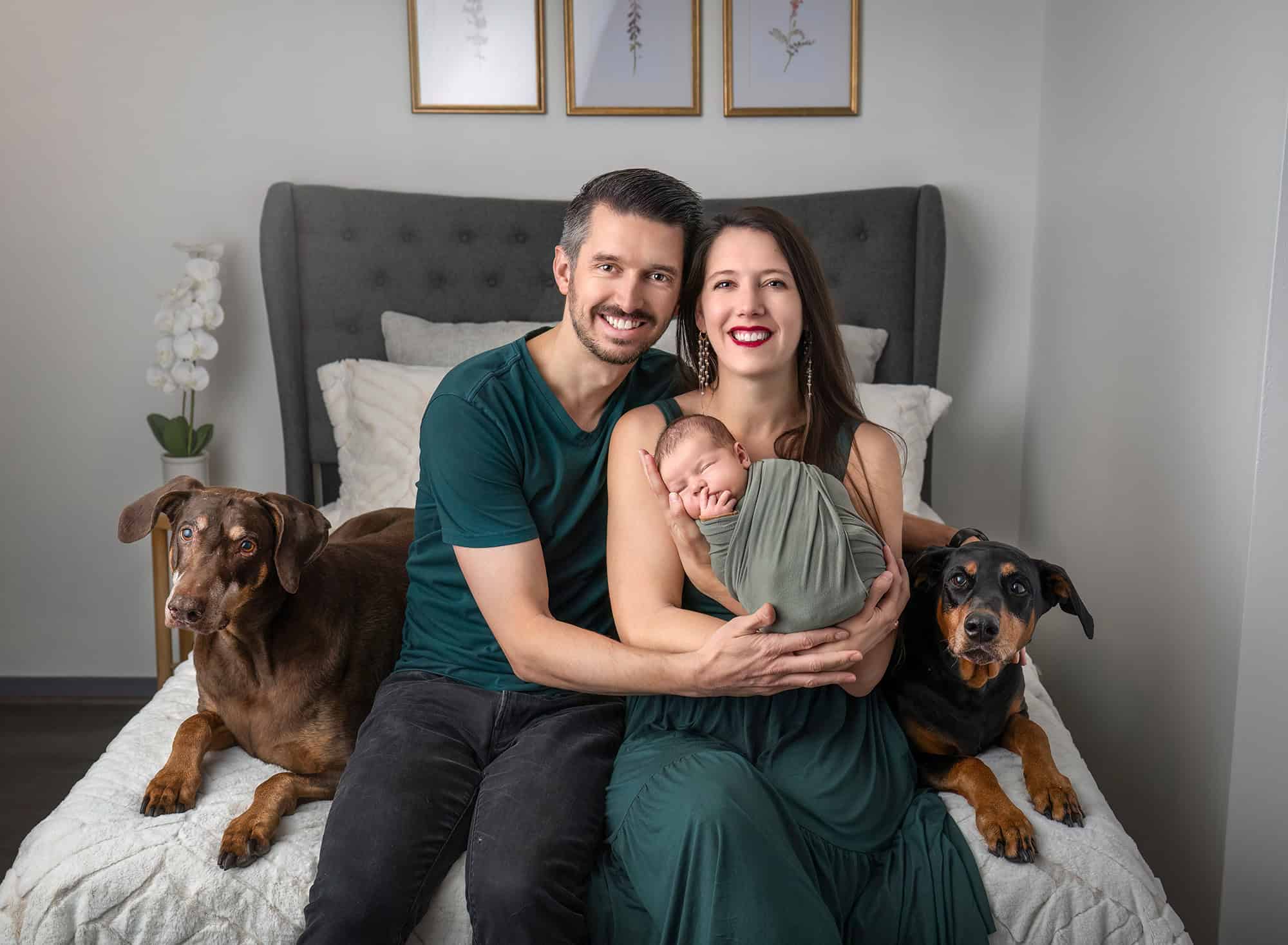 newborn photos with dogs—parents on bed with Leif and two Dobermans for first family portrait