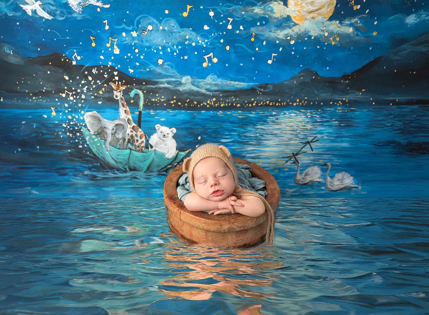 newborn boy photos newborn baby sleeping in a wooden bucket floating along with the characters from "On the Night You Were Born"