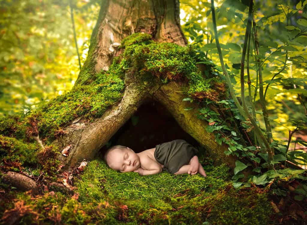 newborn photographer in Glastonbury CT baby sleeping under a tree