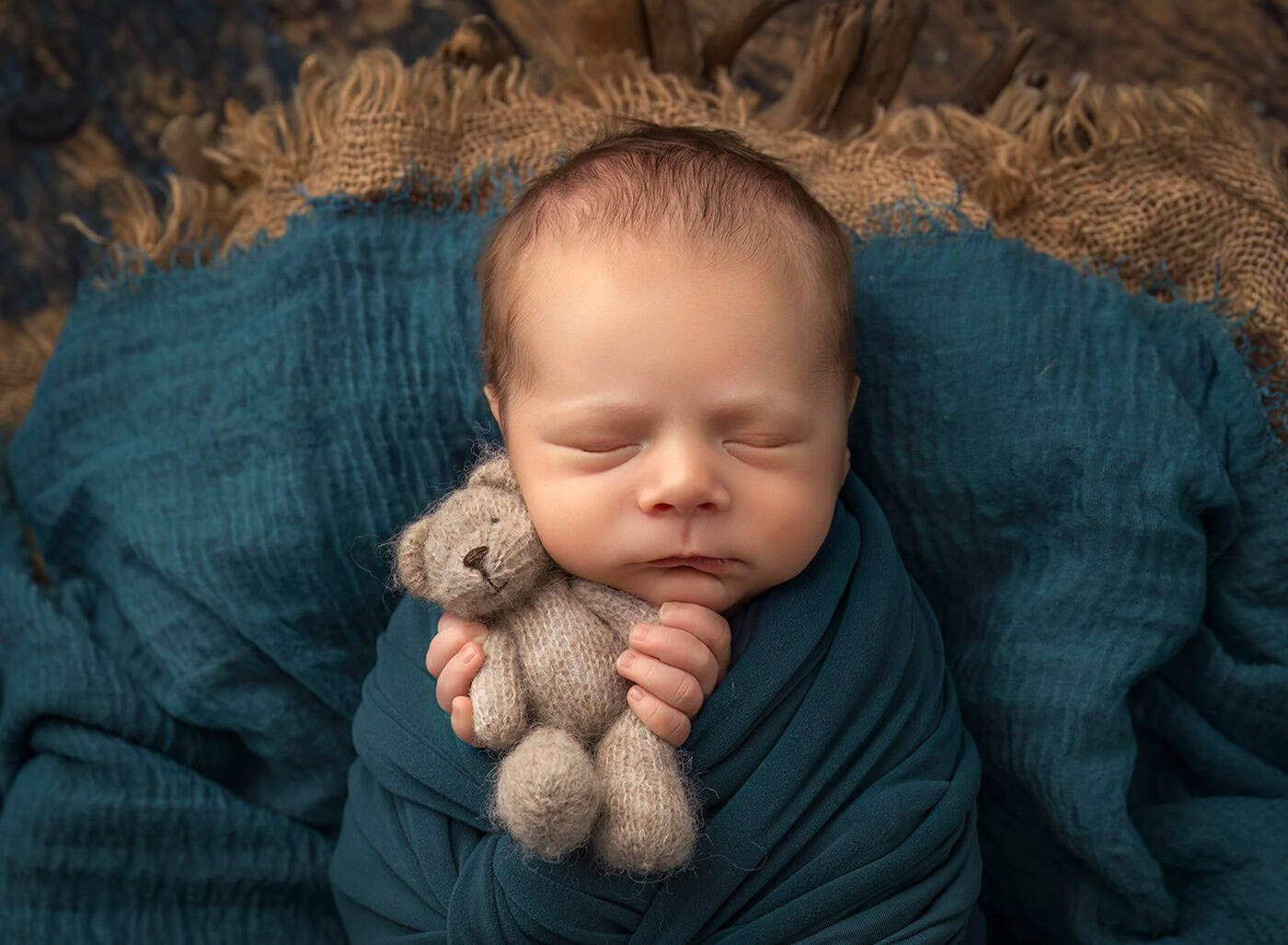 newborn photos with teddy bears