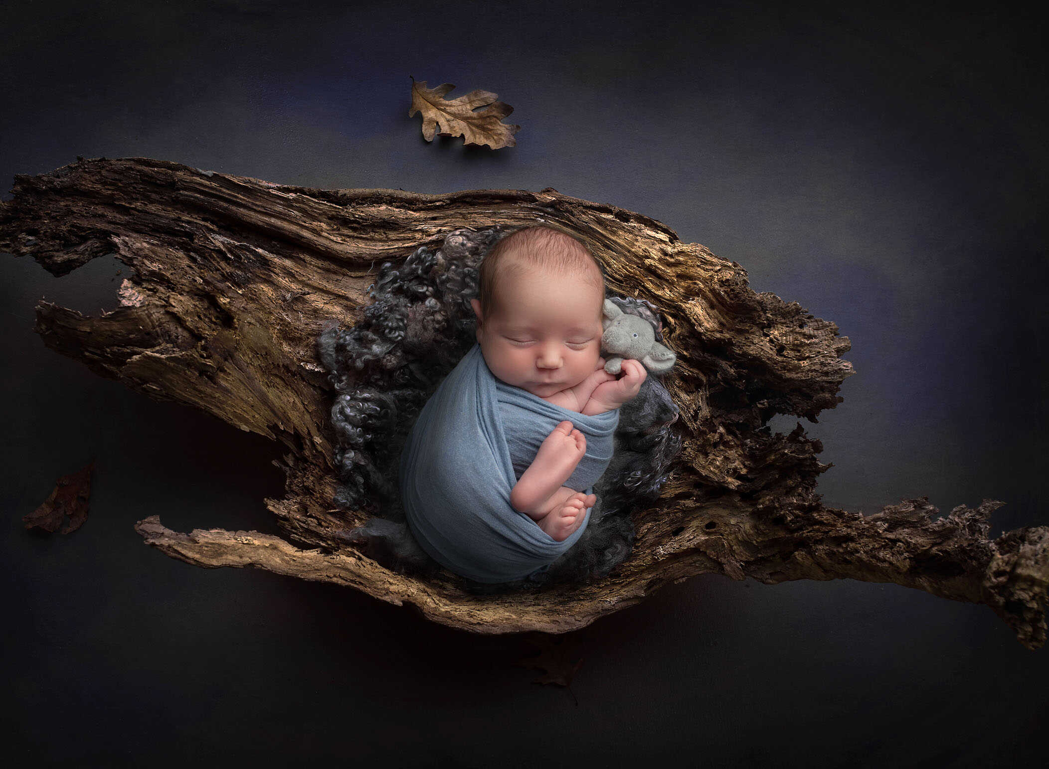 Newborn Photography Session - Salem, CT