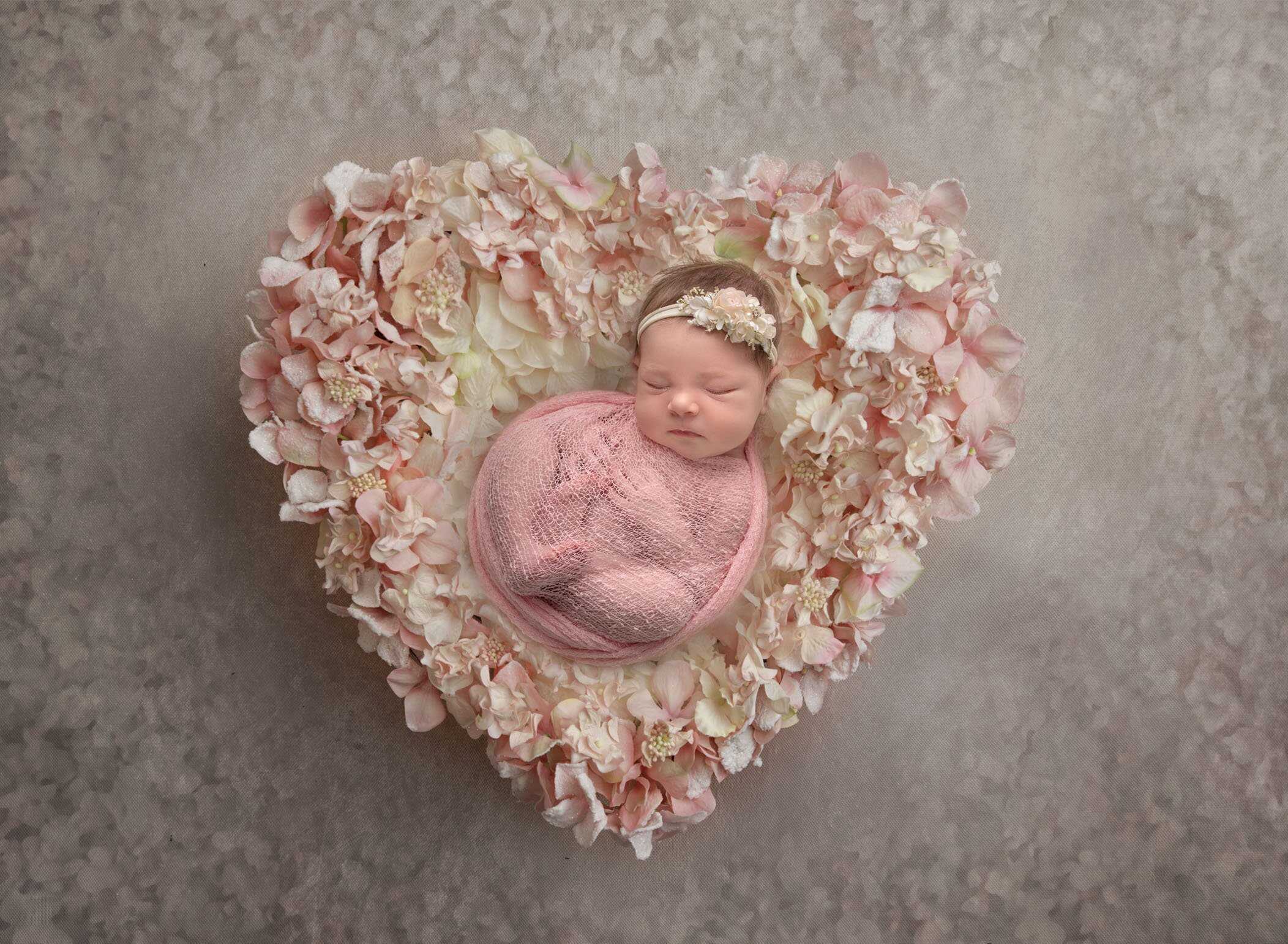 connecticut newborn portrait studio
