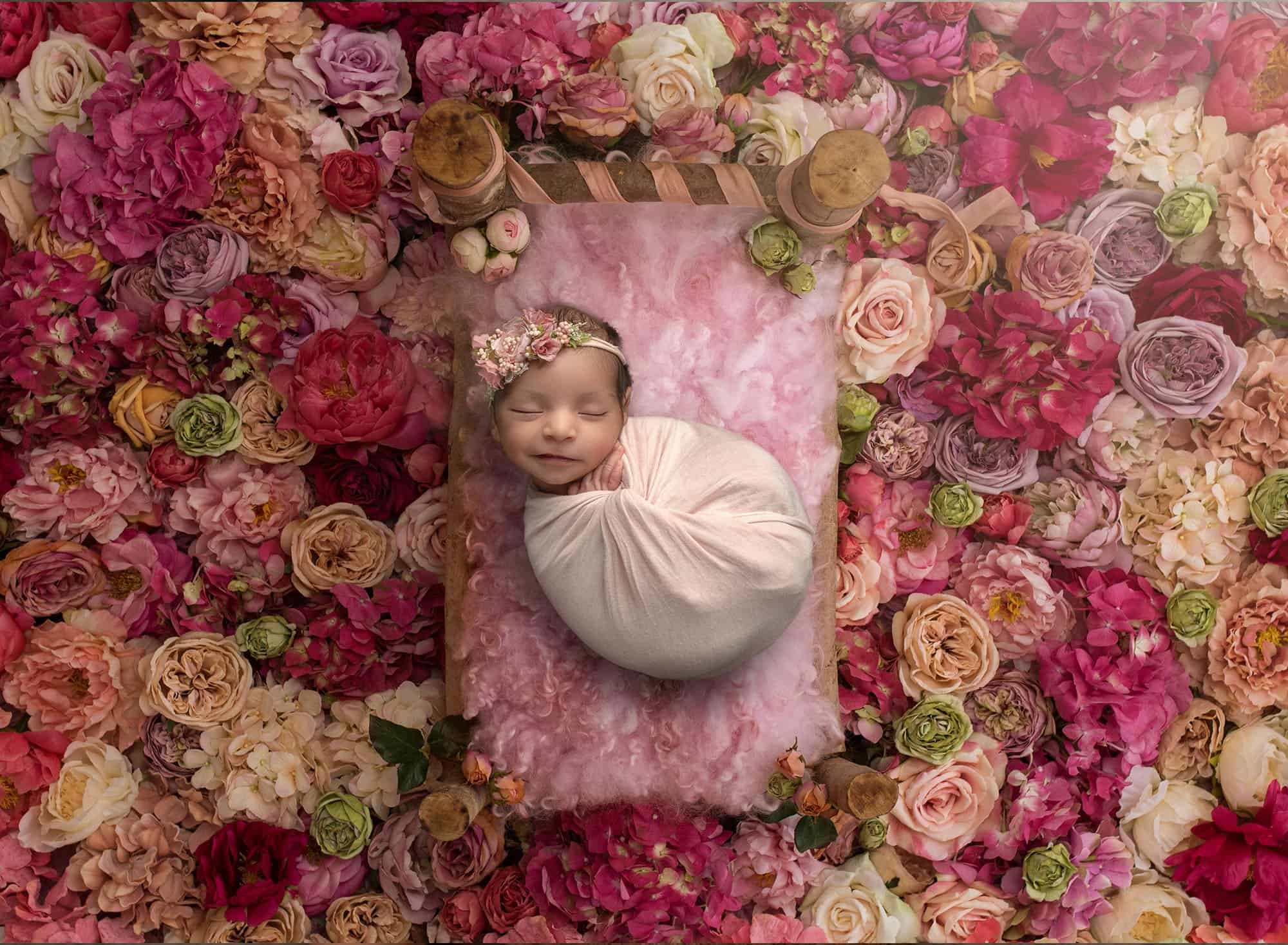 connecticut infant portrait studio