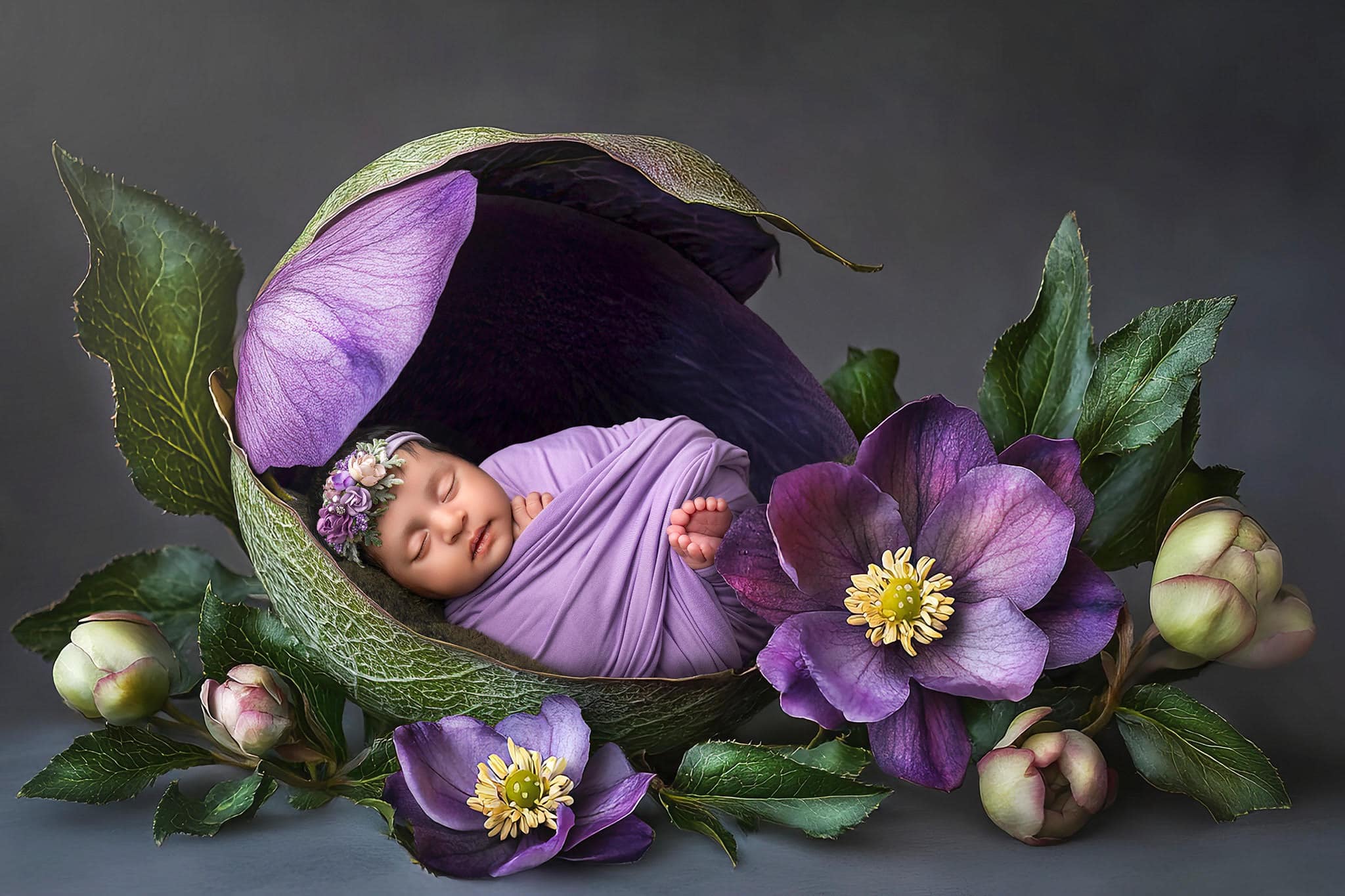 Baby Dhanya inside a purple anemone composite