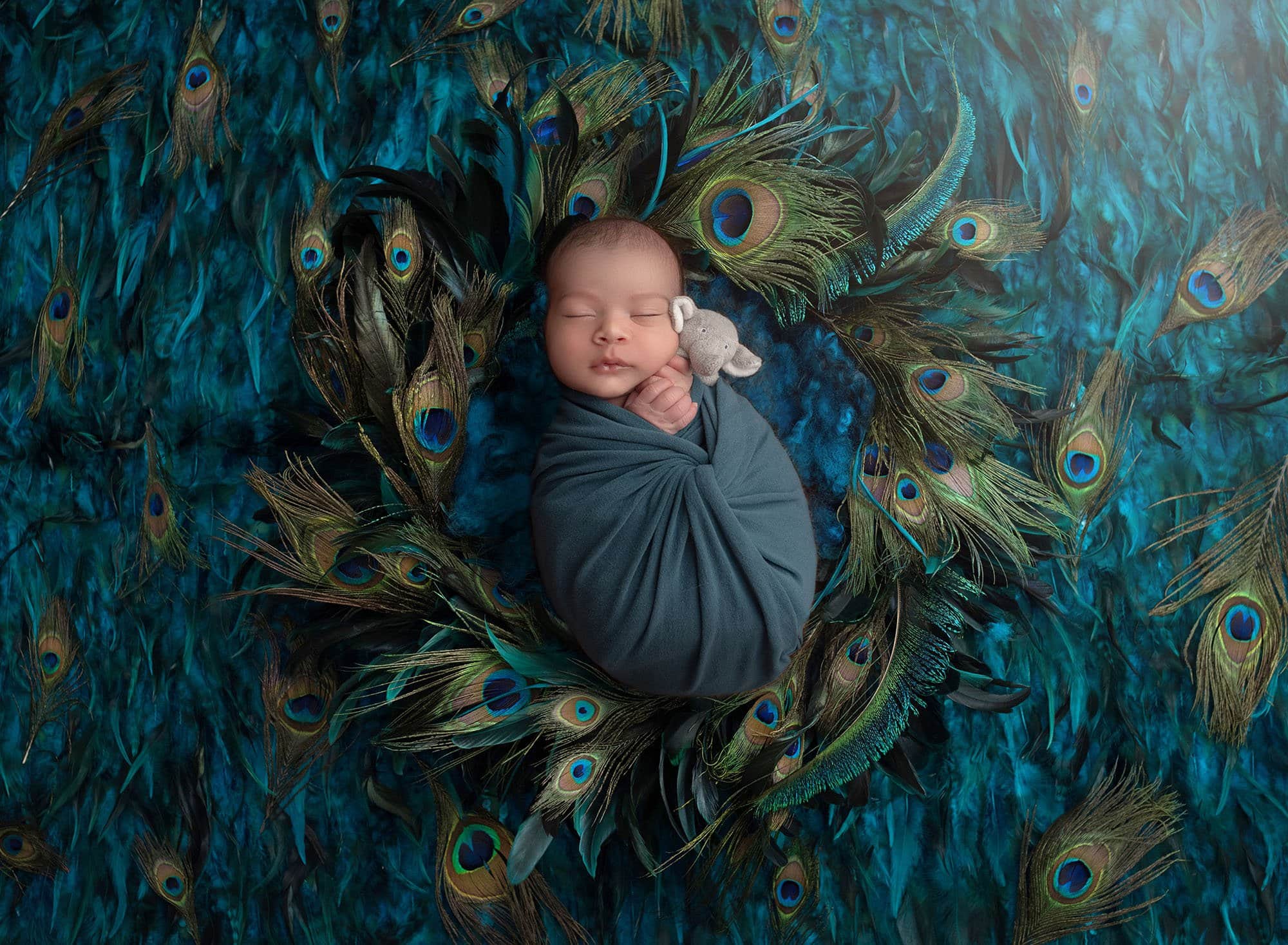best newborn photography