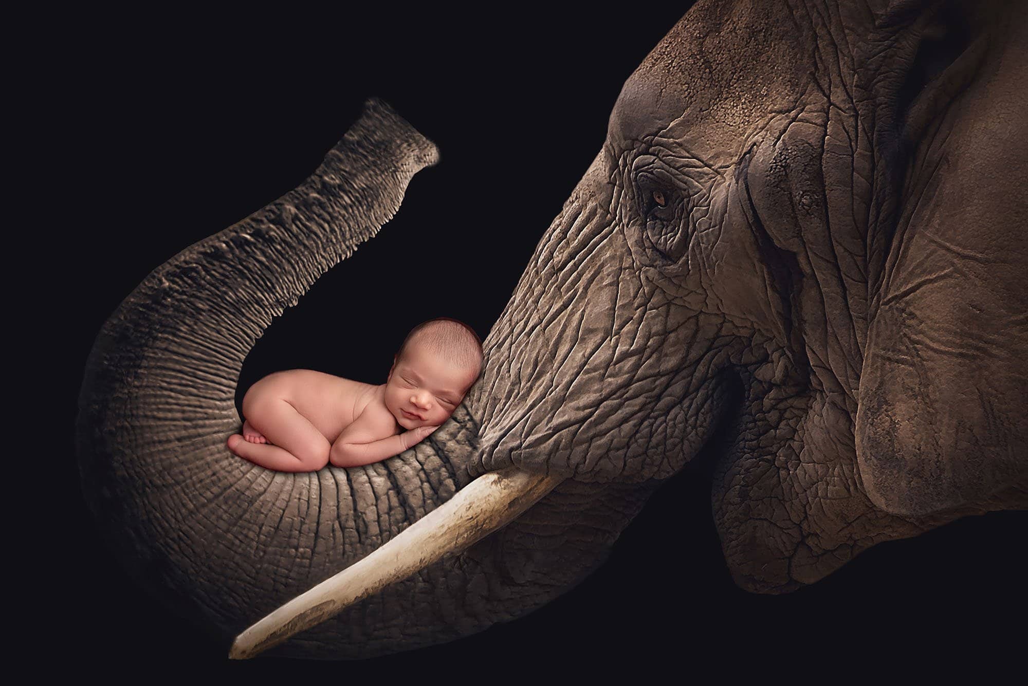 Connecticut newborn photographers