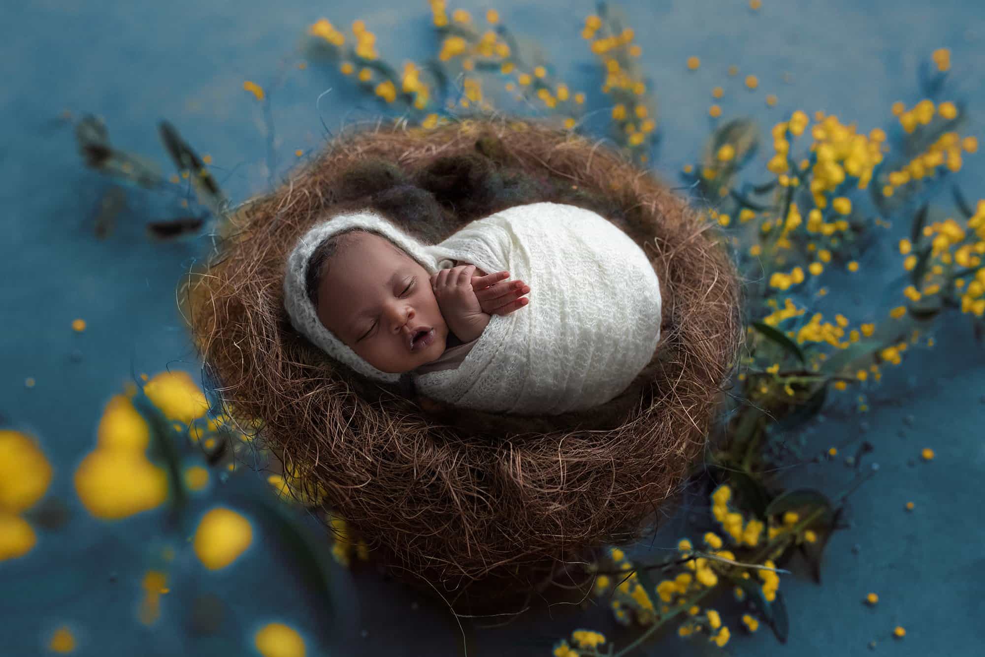 newborn photography ct