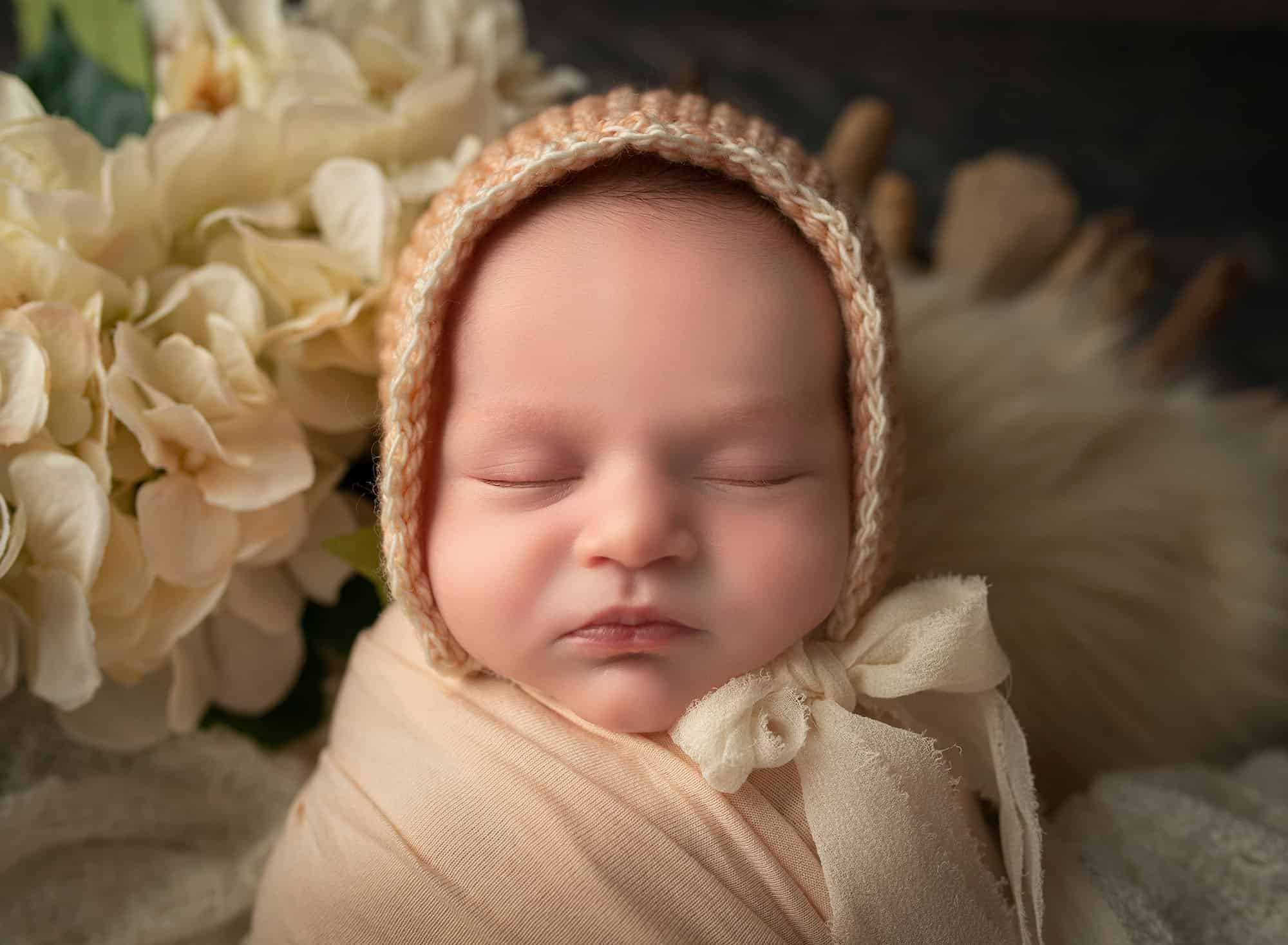 newborn photography new haven, ct